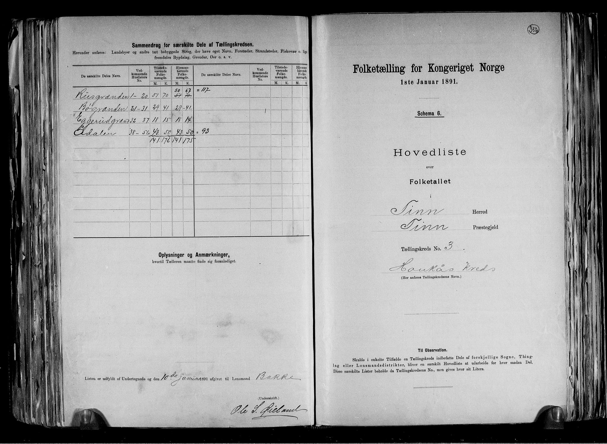 RA, 1891 census for 0826 Tinn, 1891, p. 10