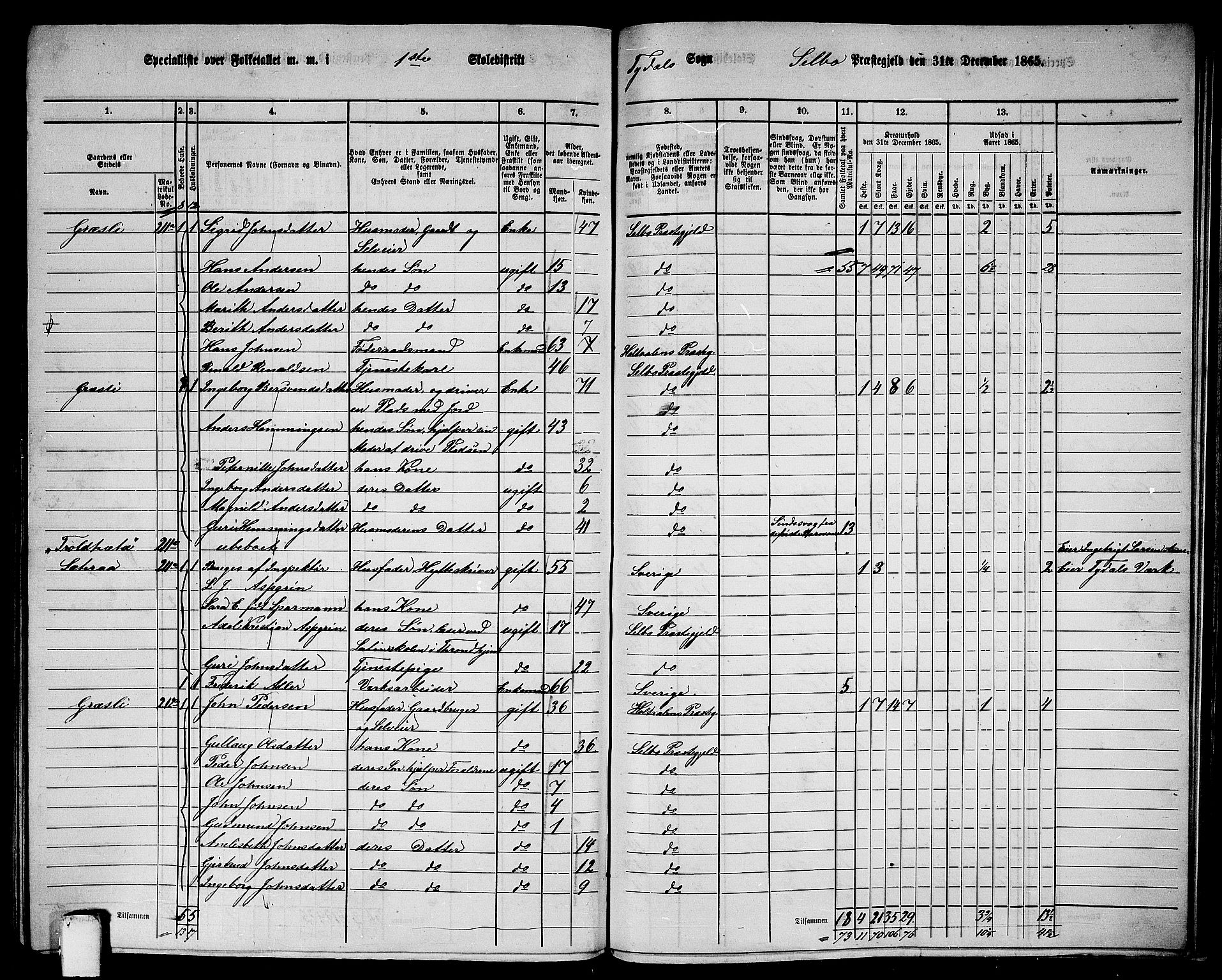 RA, 1865 census for Selbu, 1865, p. 224