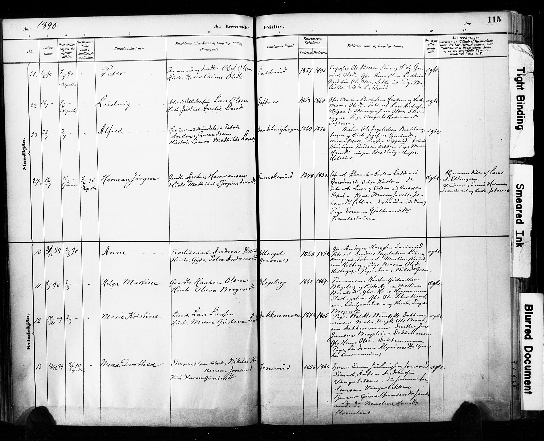 Eidsvoll prestekontor Kirkebøker, SAO/A-10888/F/Fa/L0002: Parish register (official) no. I 2, 1882-1895, p. 115