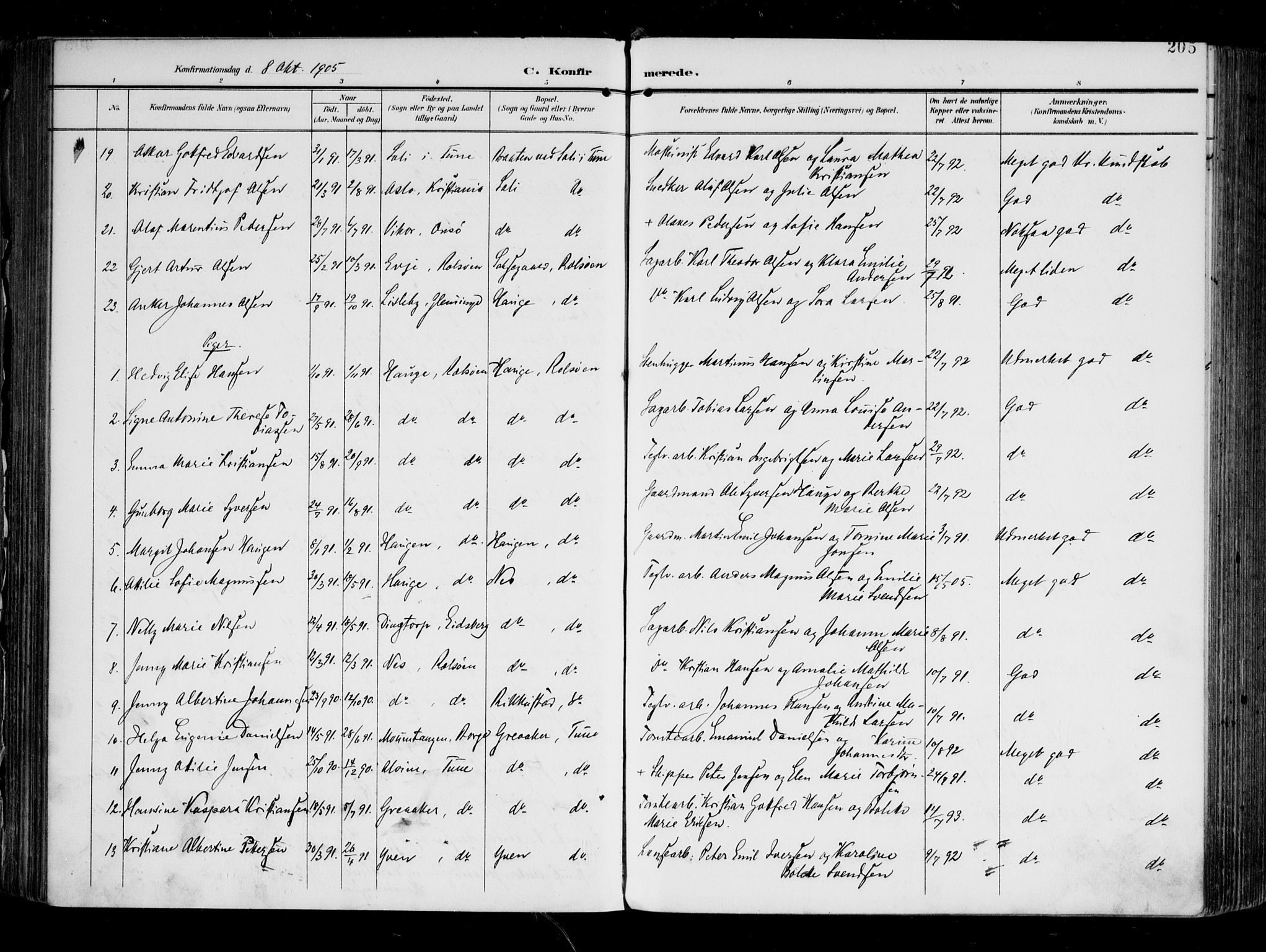 Tune prestekontor Kirkebøker, AV/SAO-A-2007/F/Fa/L0020: Parish register (official) no. 20, 1904-1909, p. 205
