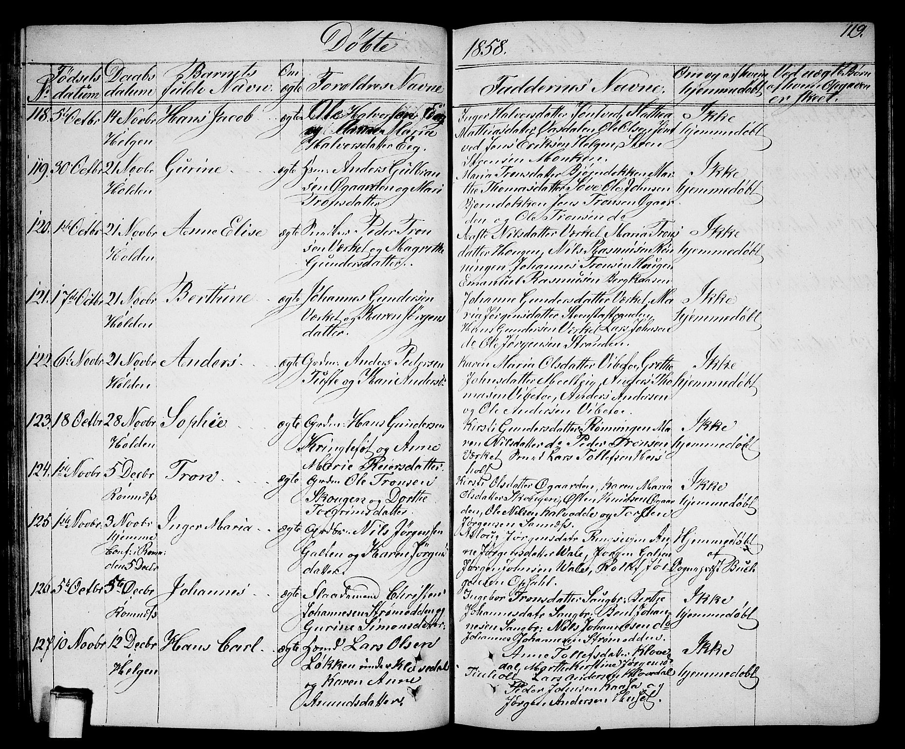 Holla kirkebøker, AV/SAKO-A-272/G/Ga/L0003: Parish register (copy) no. I 3, 1849-1866, p. 119