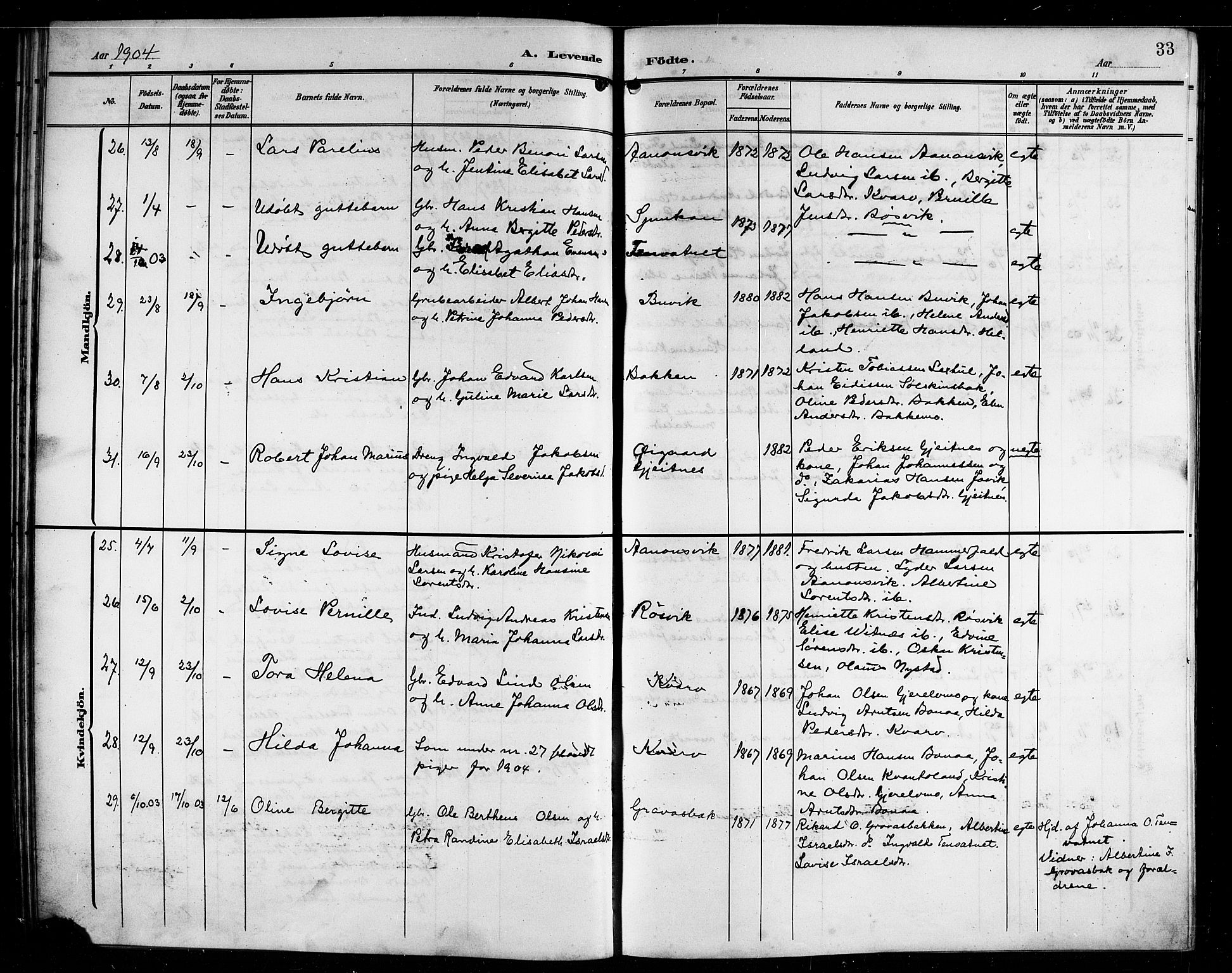 Ministerialprotokoller, klokkerbøker og fødselsregistre - Nordland, AV/SAT-A-1459/854/L0786: Parish register (copy) no. 854C02, 1901-1912, p. 33