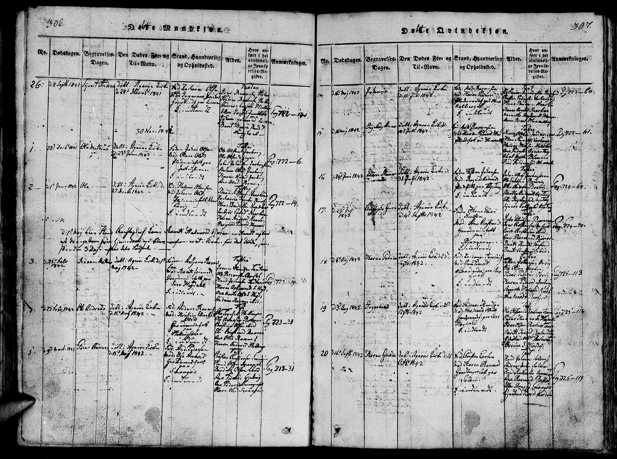 Ministerialprotokoller, klokkerbøker og fødselsregistre - Møre og Romsdal, AV/SAT-A-1454/560/L0718: Parish register (official) no. 560A02, 1817-1844, p. 306-307