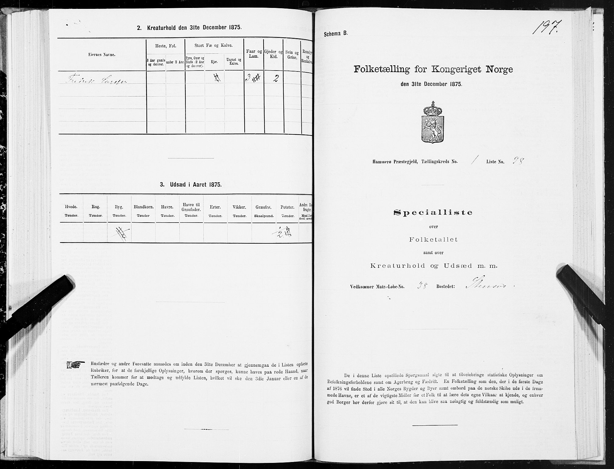 SAT, 1875 census for 1849P Hamarøy, 1875, p. 1197