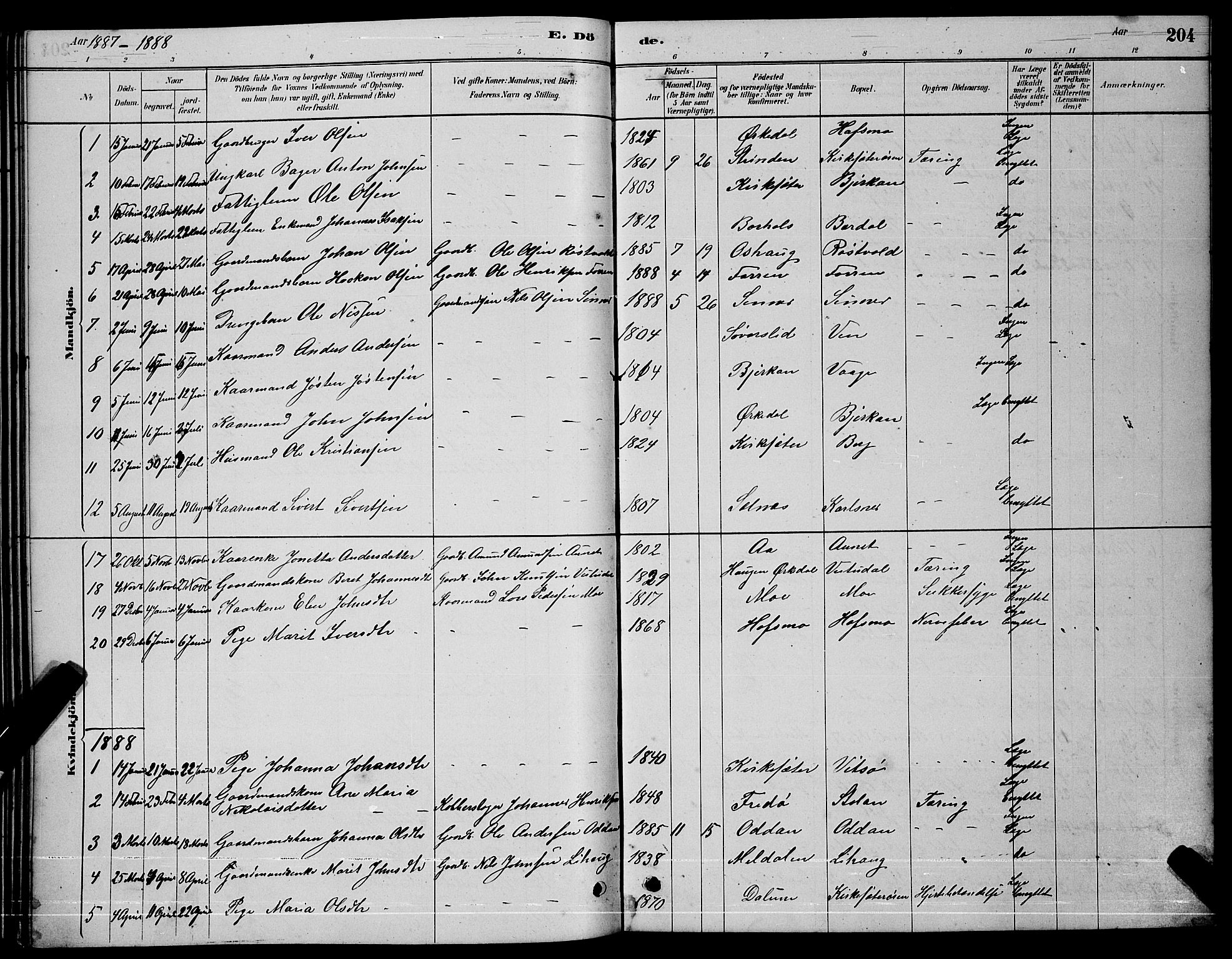 Ministerialprotokoller, klokkerbøker og fødselsregistre - Sør-Trøndelag, SAT/A-1456/630/L0504: Parish register (copy) no. 630C02, 1879-1898, p. 204