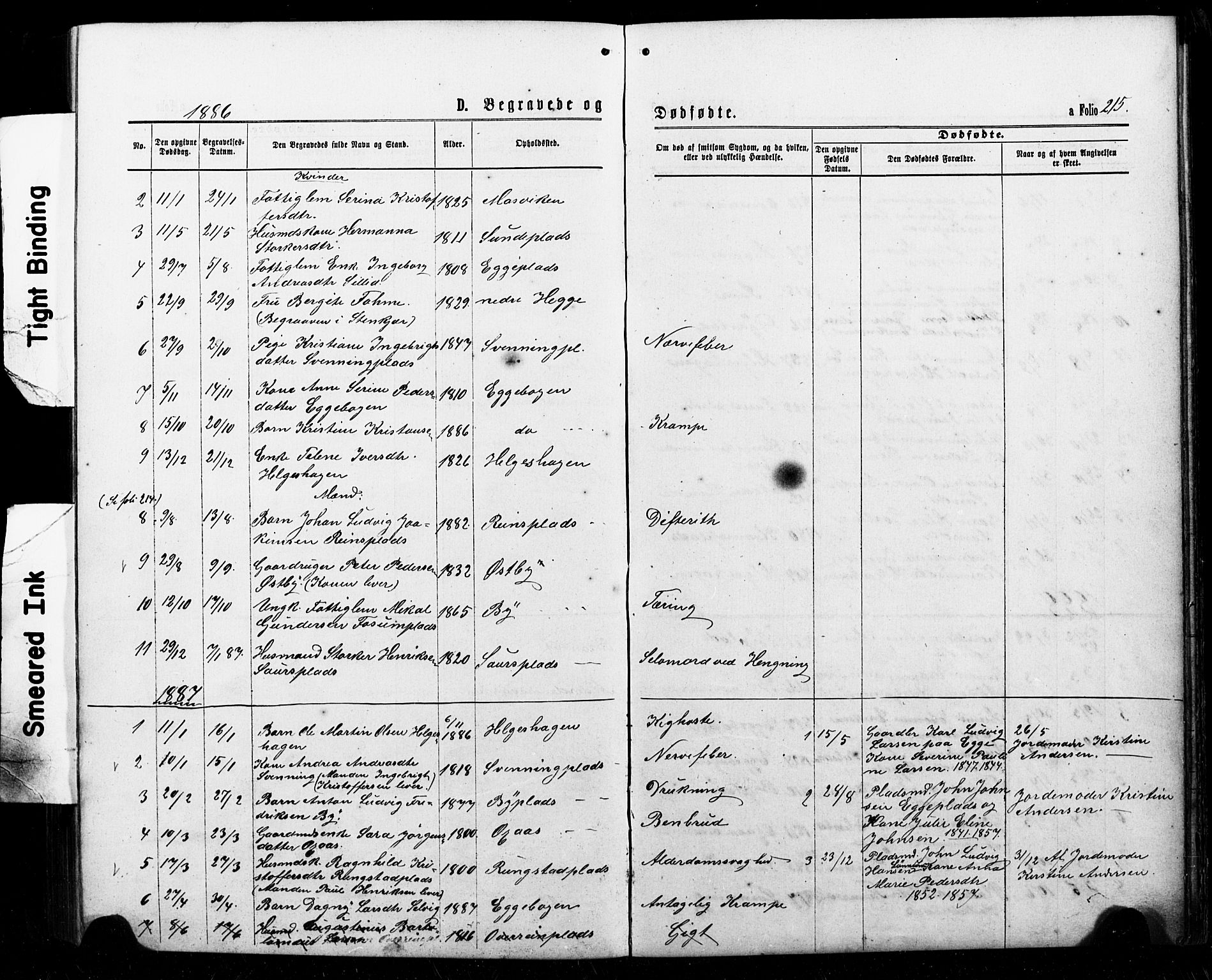 Ministerialprotokoller, klokkerbøker og fødselsregistre - Nord-Trøndelag, AV/SAT-A-1458/740/L0380: Parish register (copy) no. 740C01, 1868-1902, p. 215