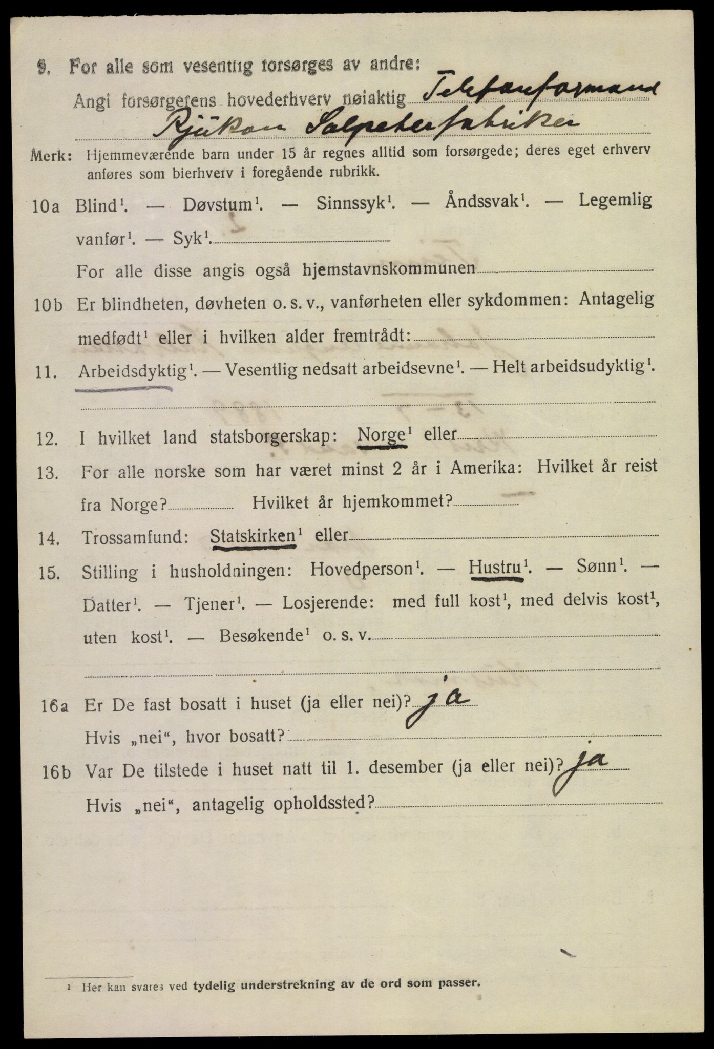 SAKO, 1920 census for Tinn, 1920, p. 20383