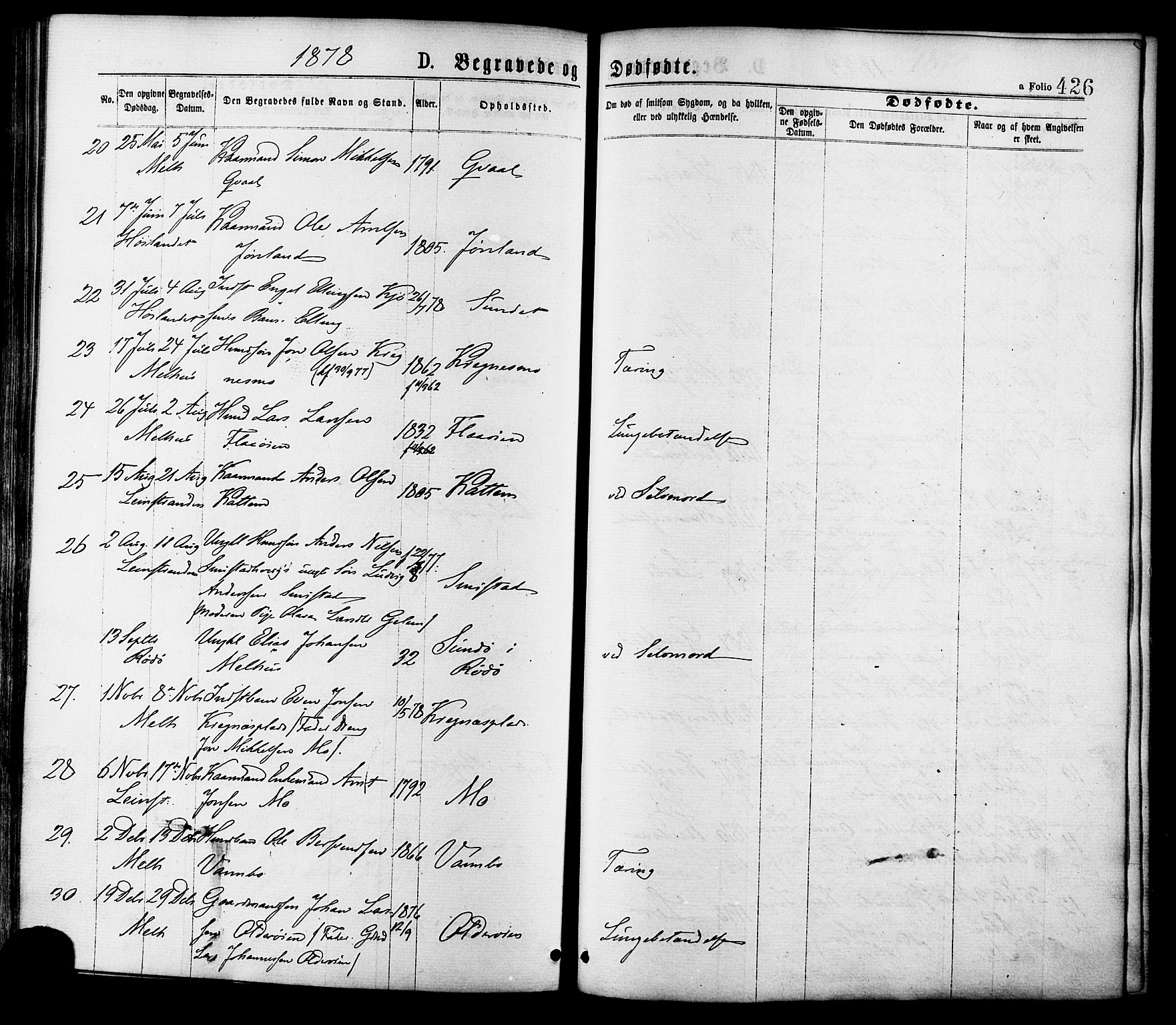 Ministerialprotokoller, klokkerbøker og fødselsregistre - Sør-Trøndelag, SAT/A-1456/691/L1079: Parish register (official) no. 691A11, 1873-1886, p. 426