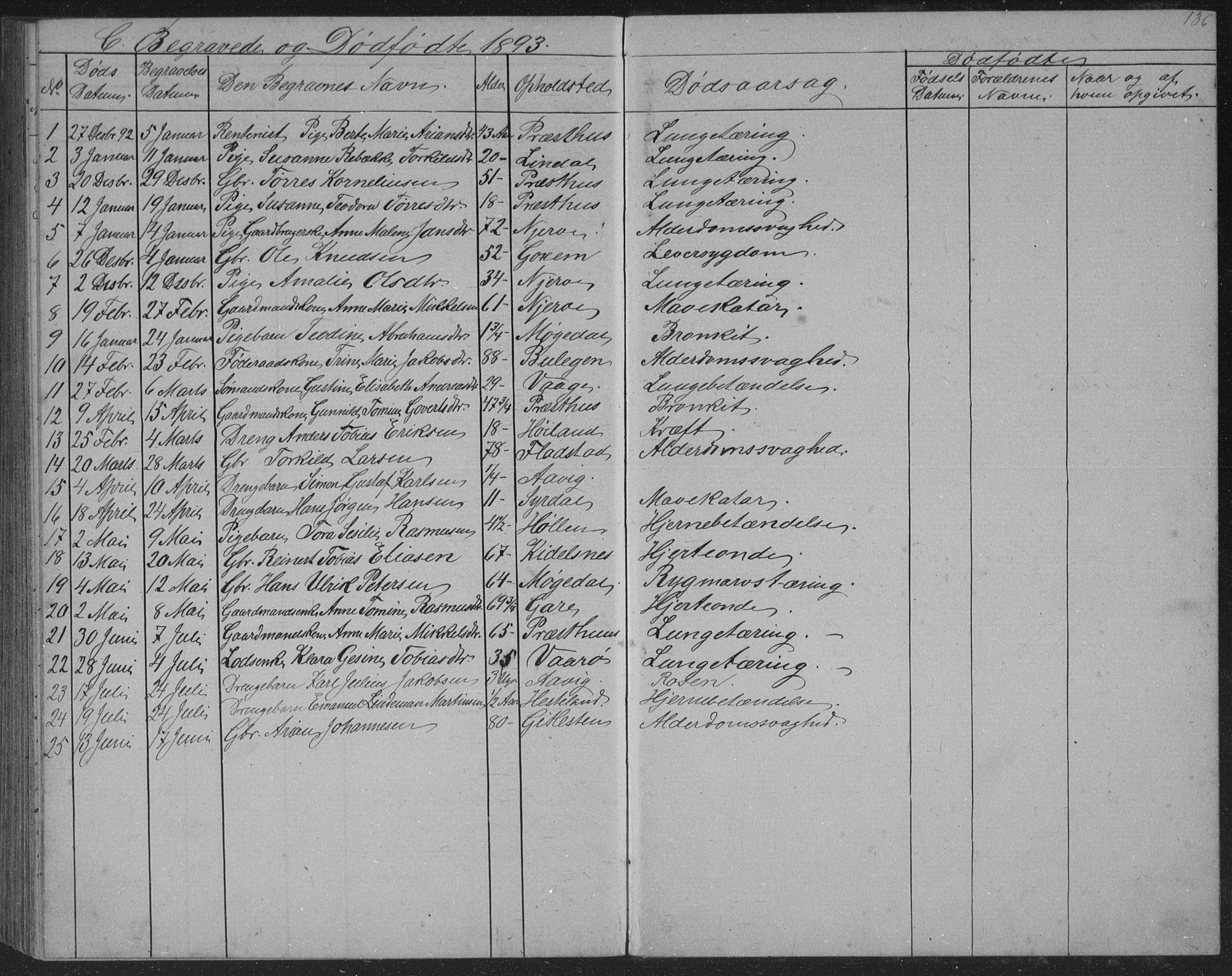 Sør-Audnedal sokneprestkontor, SAK/1111-0039/F/Fb/Fba/L0003: Parish register (copy) no. B 3, 1879-1893, p. 136