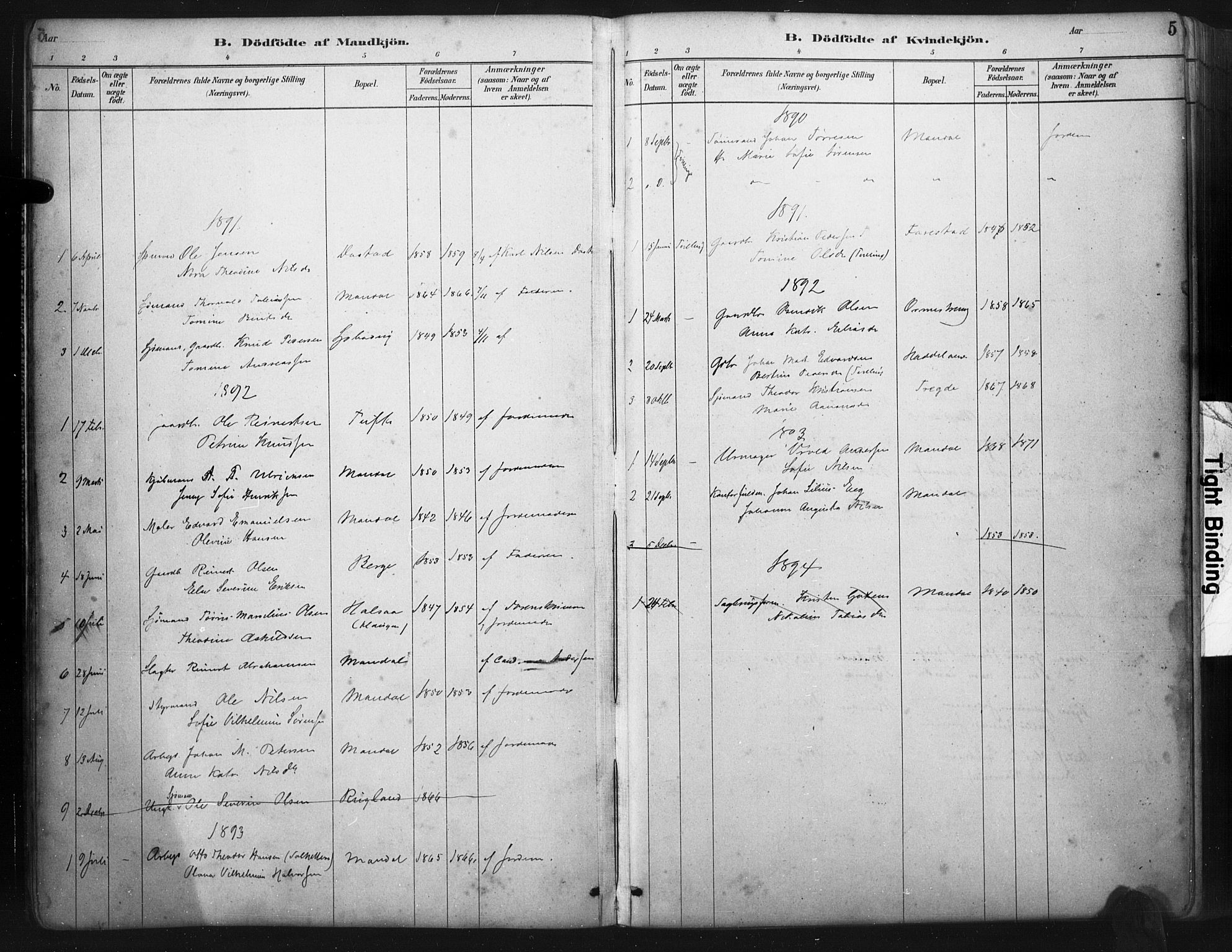 Mandal sokneprestkontor, SAK/1111-0030/F/Fa/Faa/L0017: Parish register (official) no. A 17, 1880-1926, p. 5