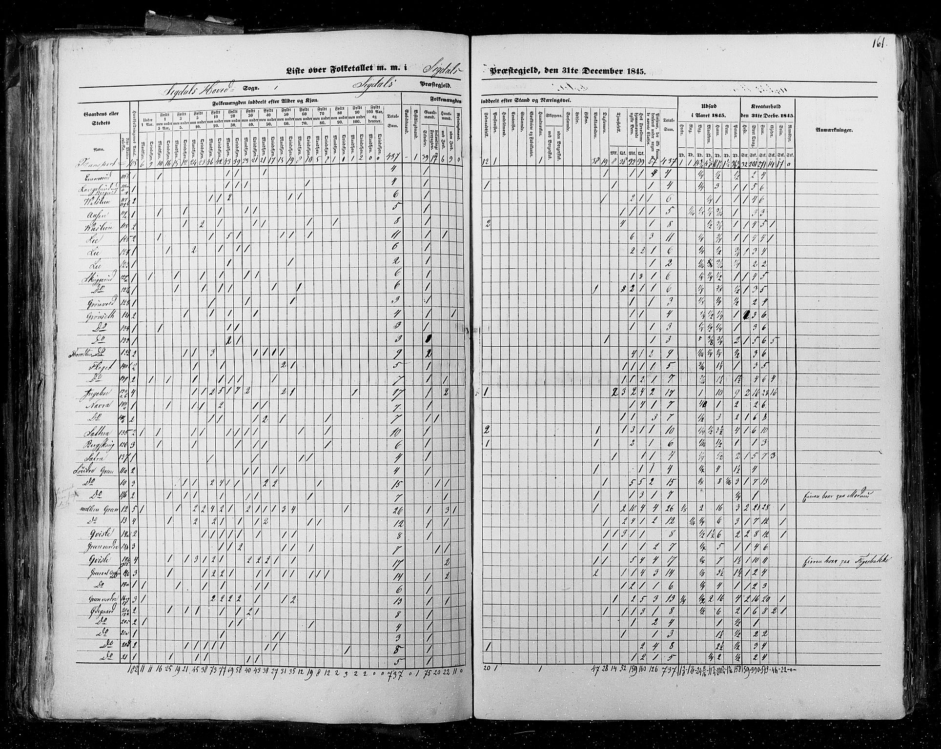 RA, Census 1845, vol. 4: Buskerud amt og Jarlsberg og Larvik amt, 1845, p. 161