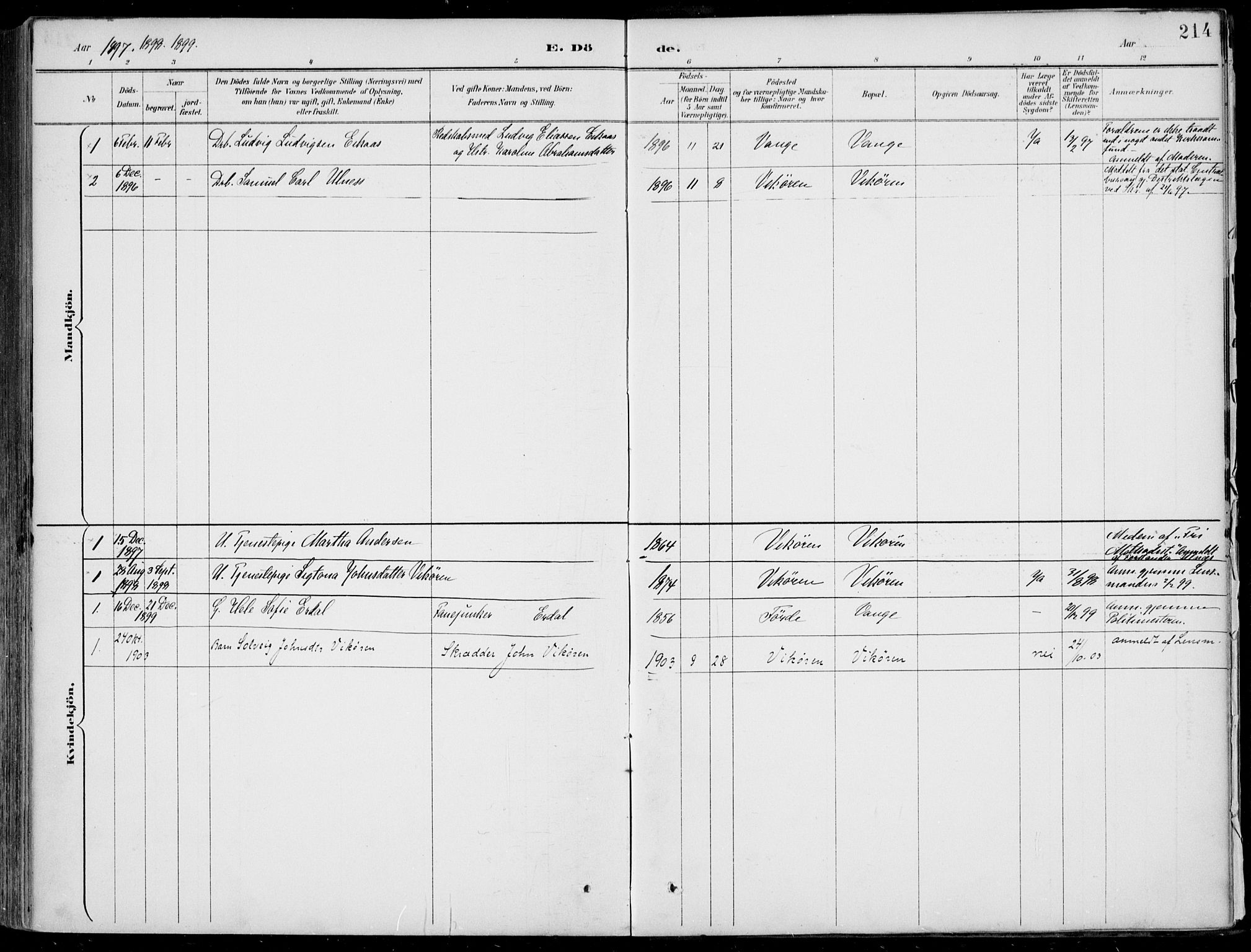 Vik sokneprestembete, AV/SAB-A-81501/H/Haa/Haab/L0002: Parish register (official) no. B  2, 1891-1907, p. 214