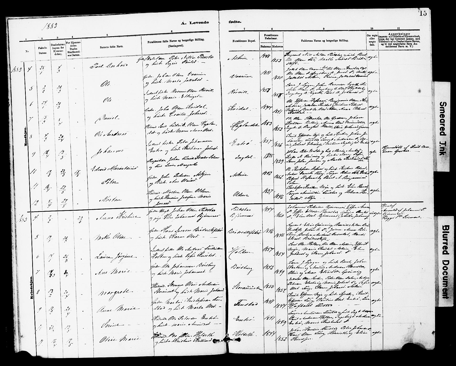 Ministerialprotokoller, klokkerbøker og fødselsregistre - Sør-Trøndelag, SAT/A-1456/646/L0628: Parish register (copy) no. 646C01, 1880-1903, p. 15