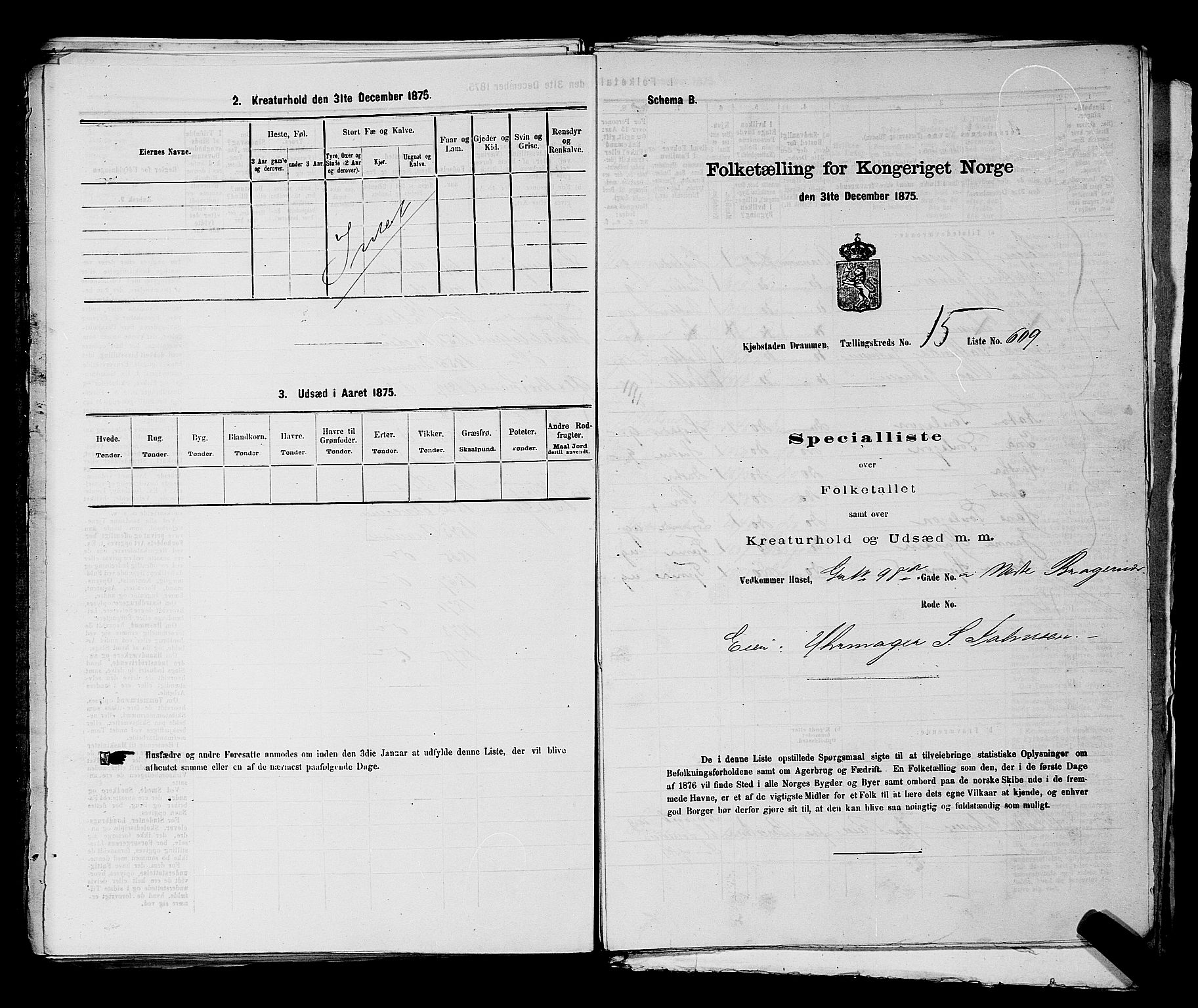 SAKO, 1875 census for 0602 Drammen, 1875, p. 1730