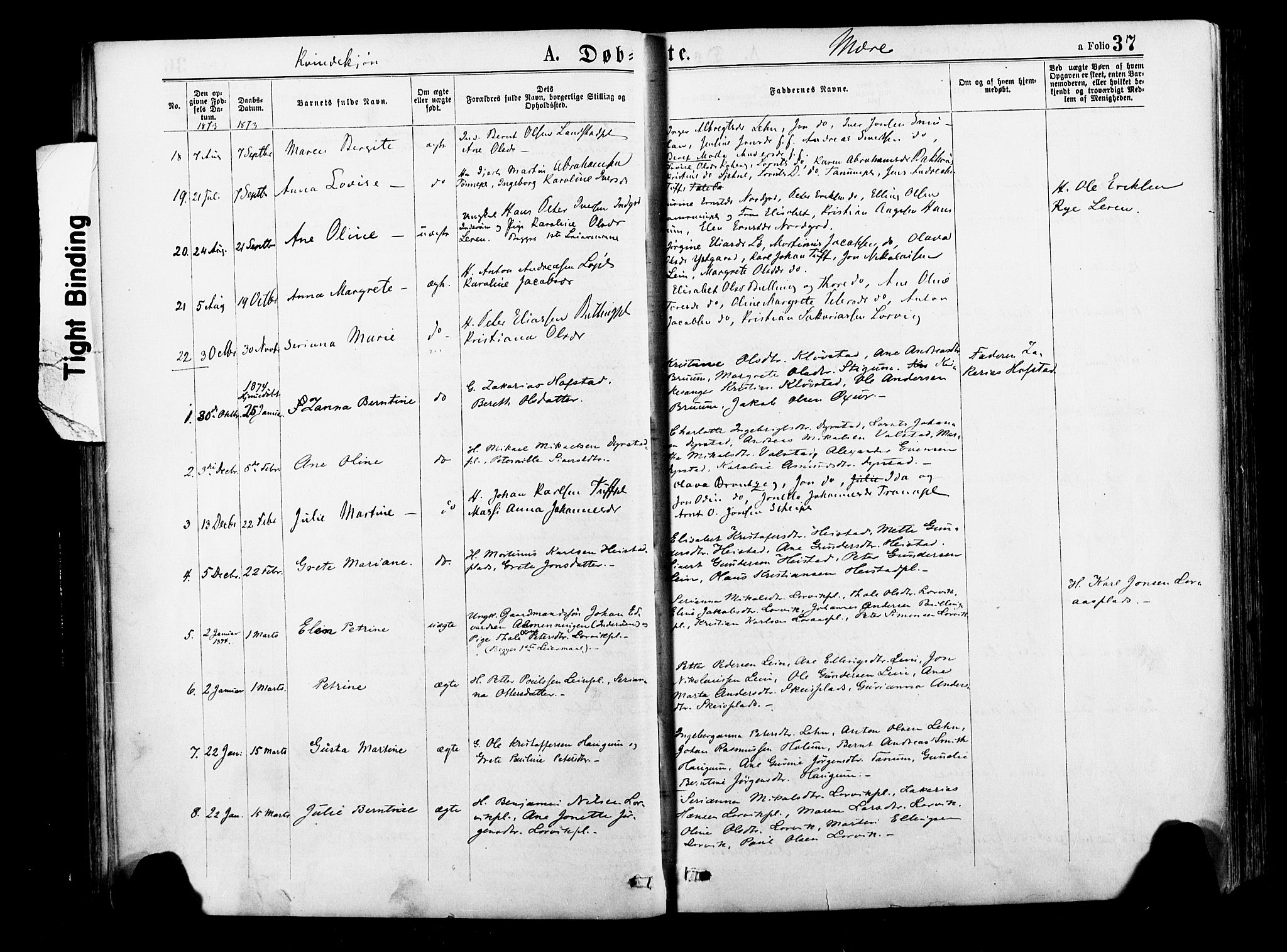 Ministerialprotokoller, klokkerbøker og fødselsregistre - Nord-Trøndelag, SAT/A-1458/735/L0348: Parish register (official) no. 735A09 /1, 1873-1883, p. 37