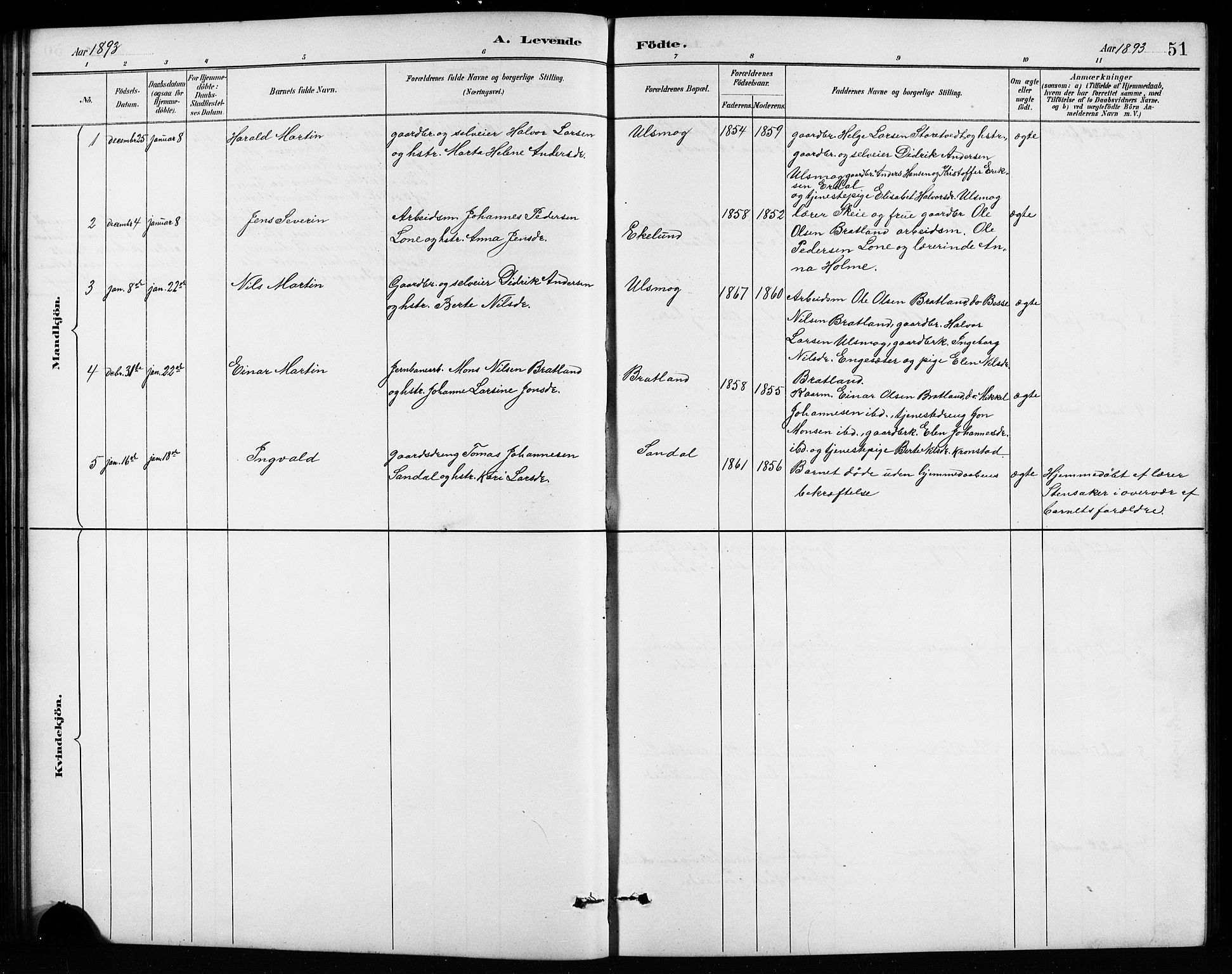 Birkeland Sokneprestembete, SAB/A-74601/H/Hab: Parish register (copy) no. A 4, 1888-1897, p. 51