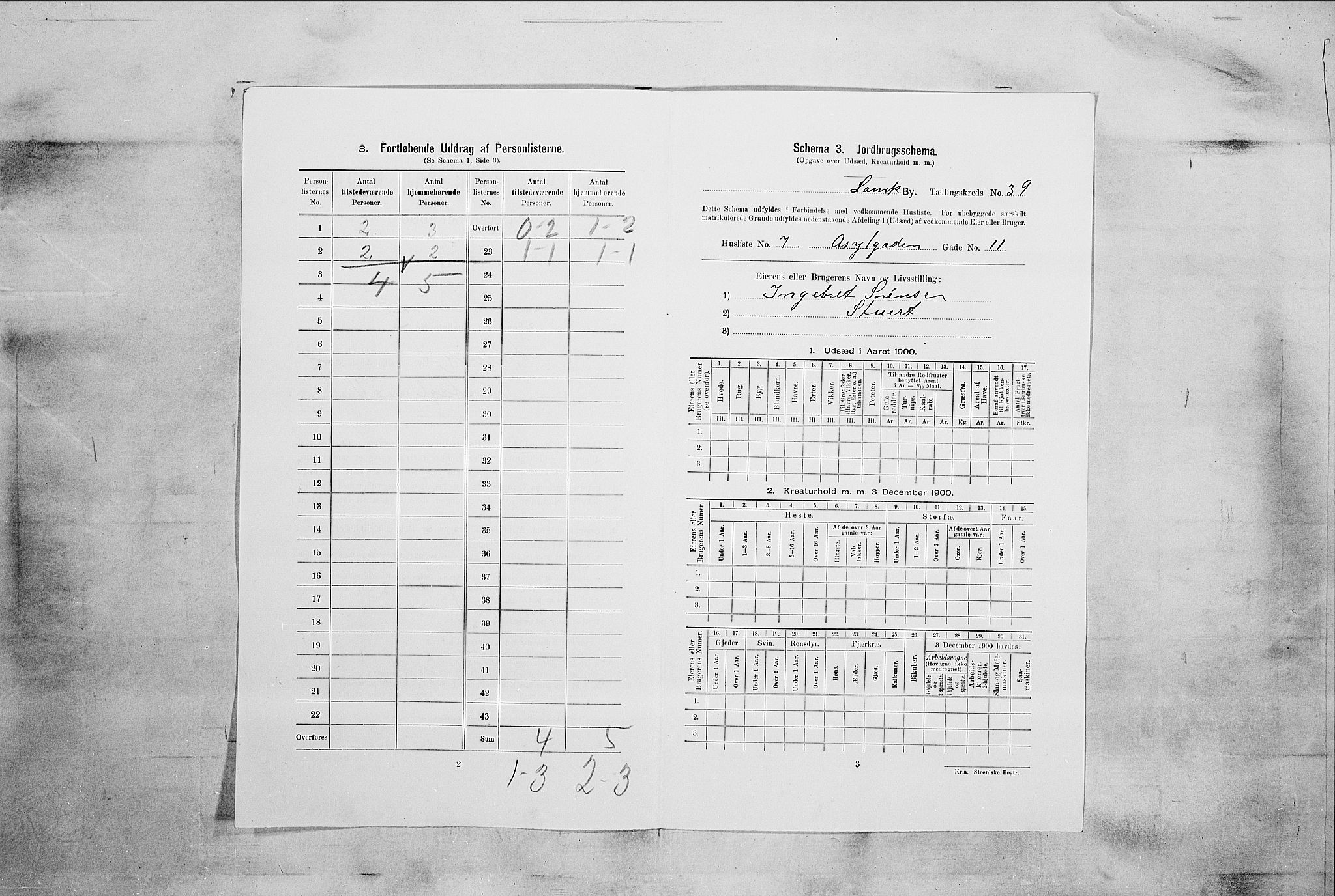 RA, 1900 census for Larvik, 1900, p. 5227