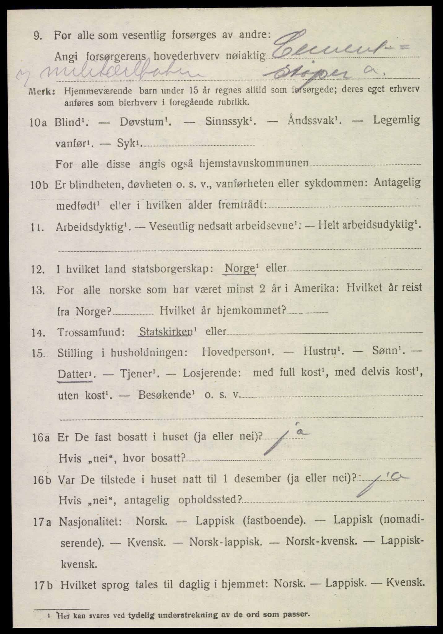 SAT, 1920 census for Stjørdal, 1920, p. 6911