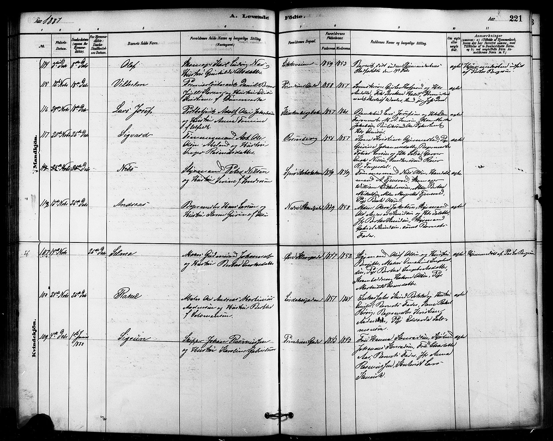 Domkirken sokneprestkontor, SAST/A-101812/001/30/30BB/L0015: Parish register (copy) no. B 15, 1880-1891, p. 221