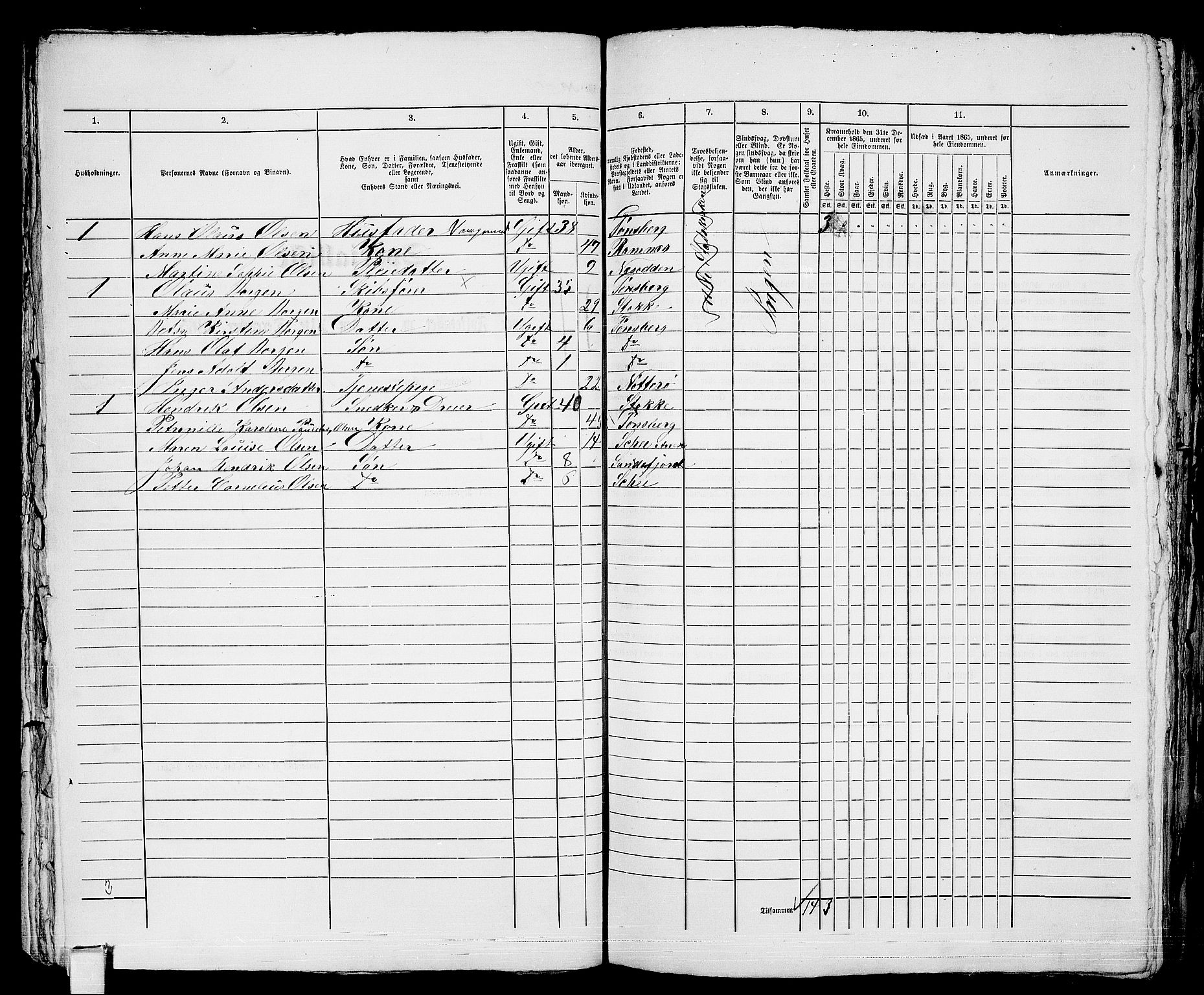 RA, 1865 census for Tønsberg, 1865, p. 443