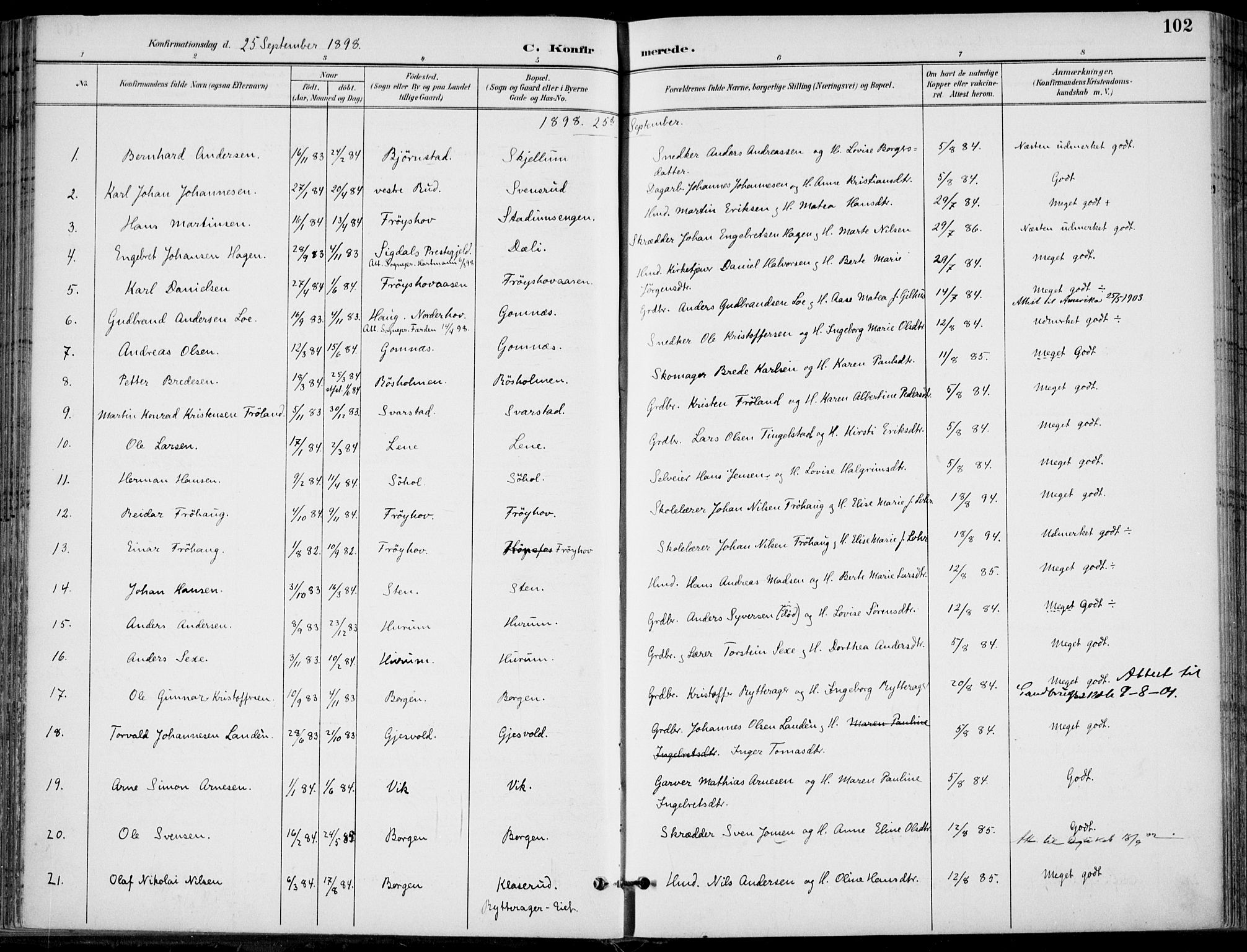 Hole kirkebøker, SAKO/A-228/F/Fa/L0009: Parish register (official) no. I 9, 1892-1907, p. 102