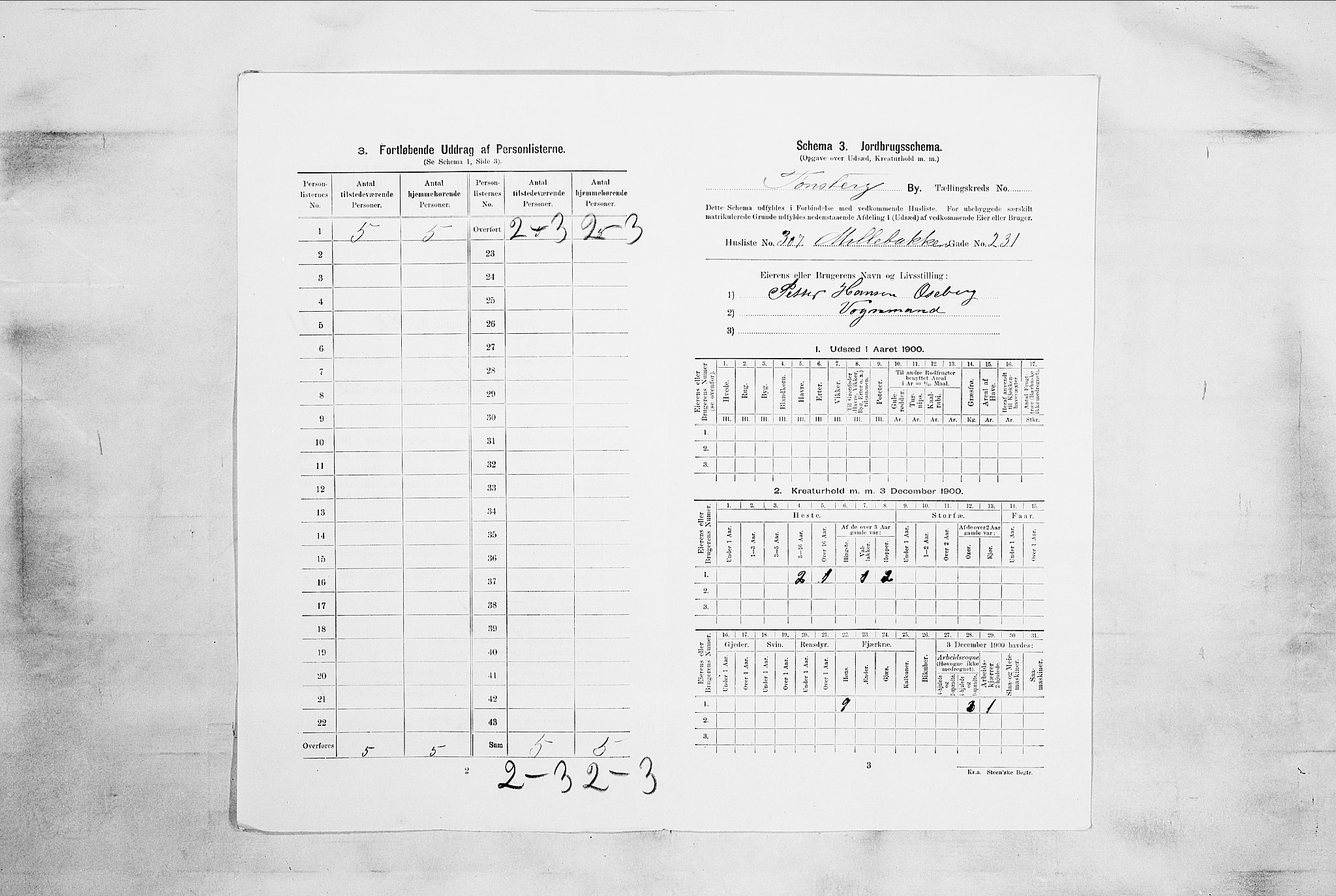 RA, 1900 census for Tønsberg, 1900, p. 2426