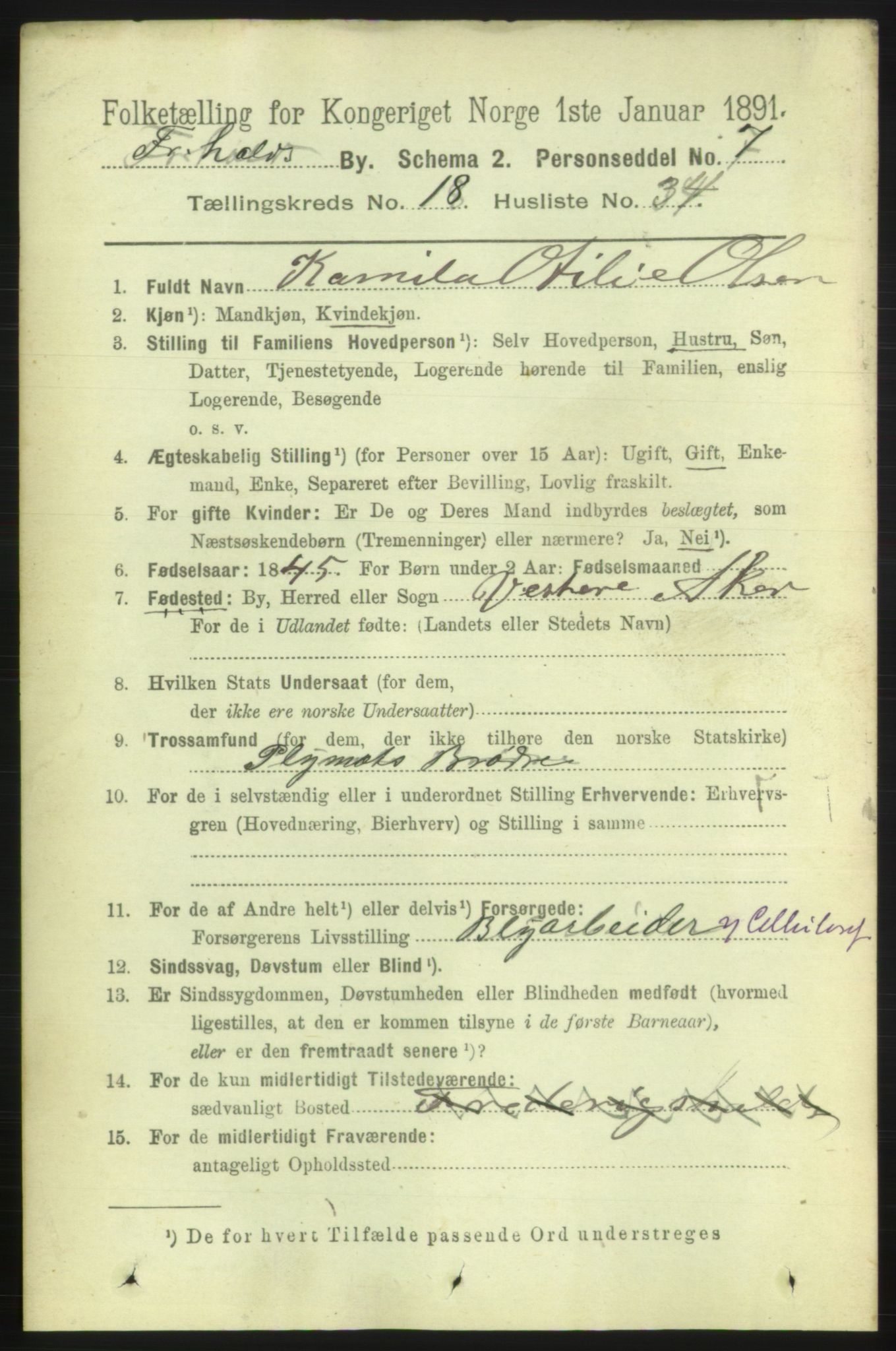 RA, 1891 census for 0101 Fredrikshald, 1891, p. 11849
