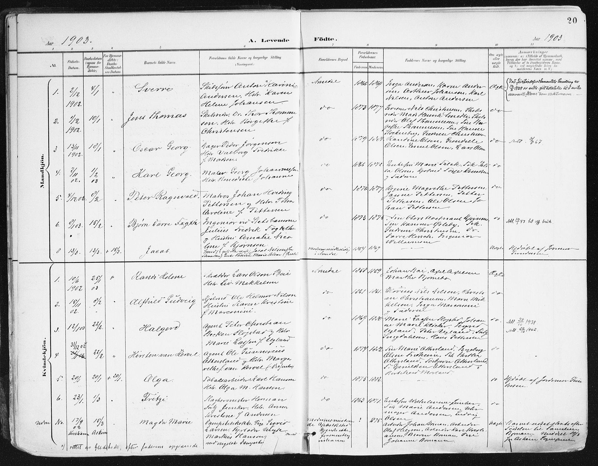 Arendal sokneprestkontor, Trefoldighet, SAK/1111-0040/F/Fa/L0010: Parish register (official) no. A 10, 1900-1919, p. 20