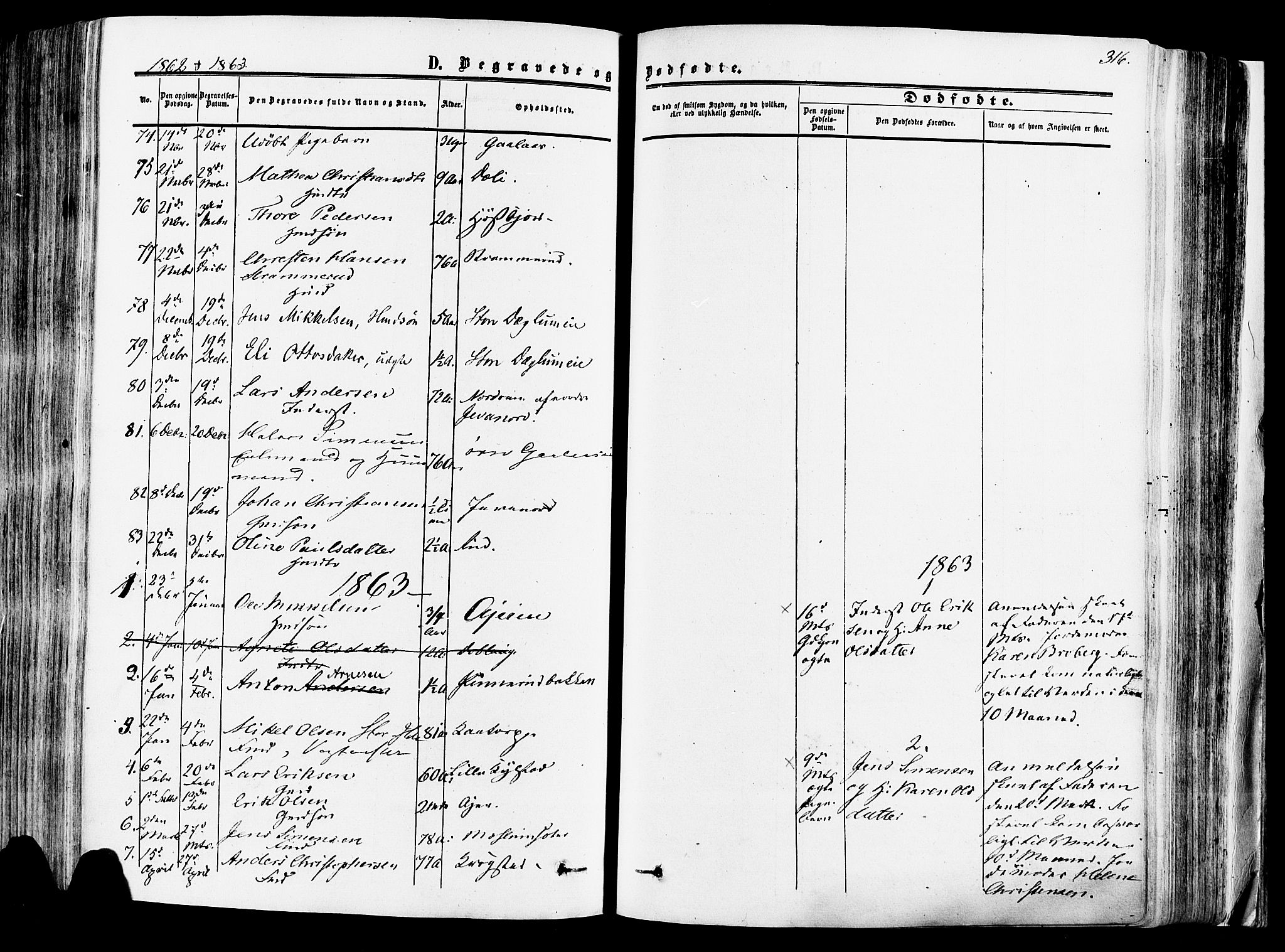 Vang prestekontor, Hedmark, SAH/PREST-008/H/Ha/Haa/L0013: Parish register (official) no. 13, 1855-1879, p. 316