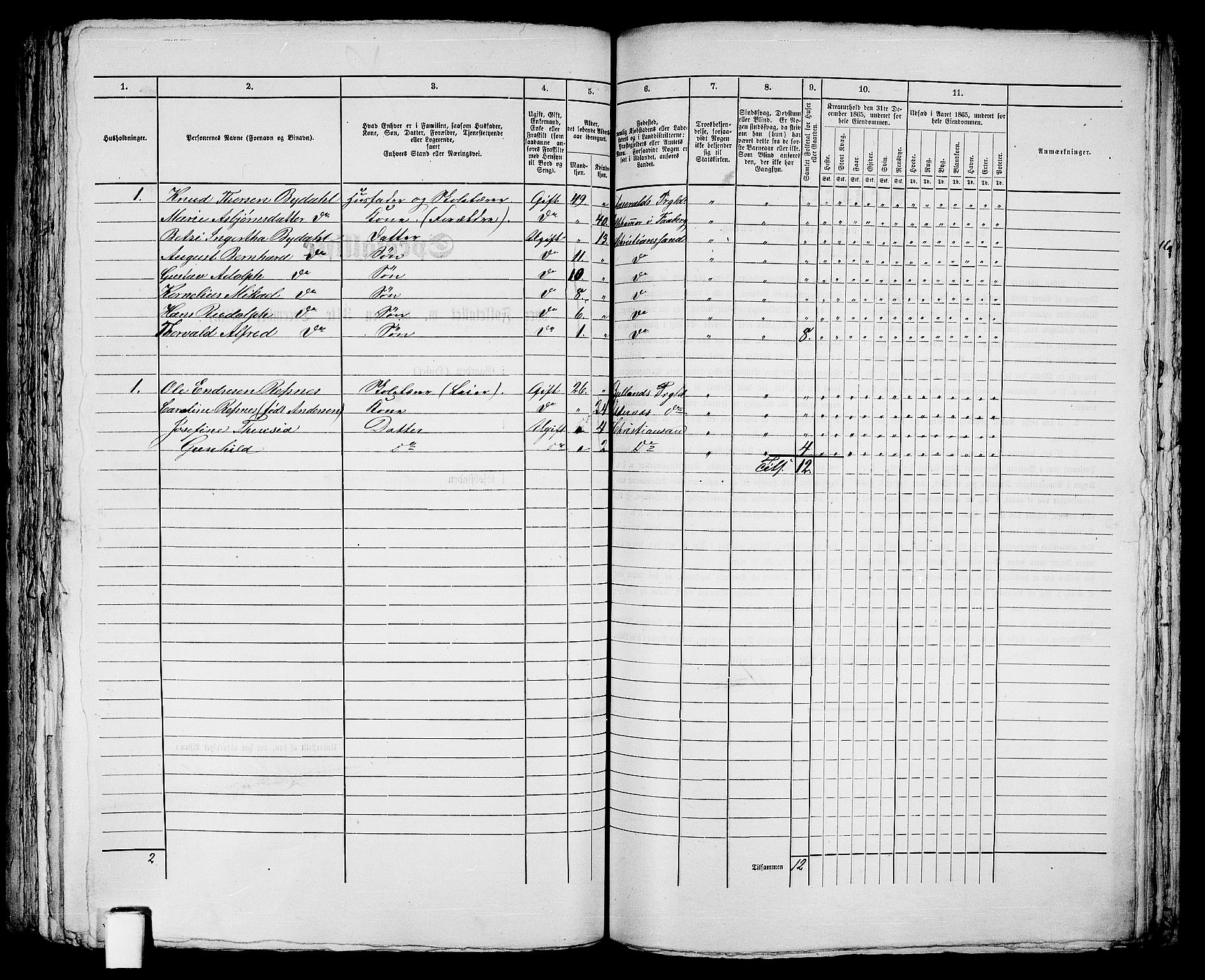 RA, 1865 census for Kristiansand, 1865, p. 369