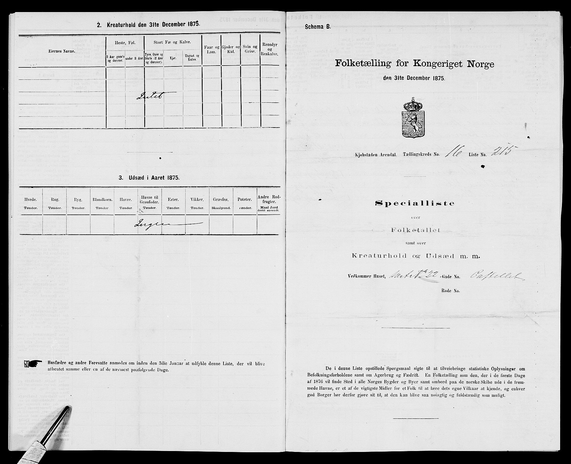 SAK, 1875 census for 0903P Arendal, 1875, p. 503