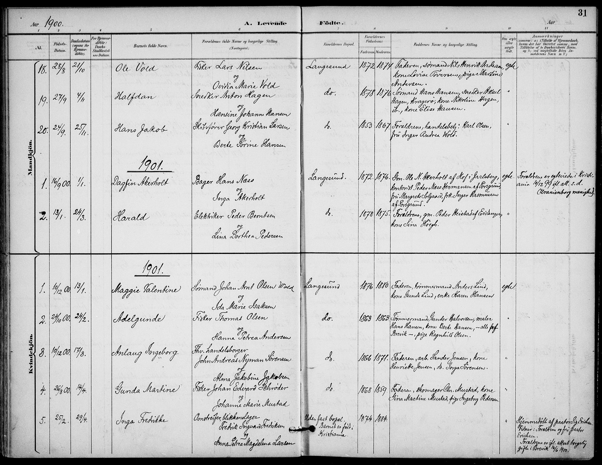 Langesund kirkebøker, AV/SAKO-A-280/F/Fa/L0003: Parish register (official) no. 3, 1893-1907, p. 31