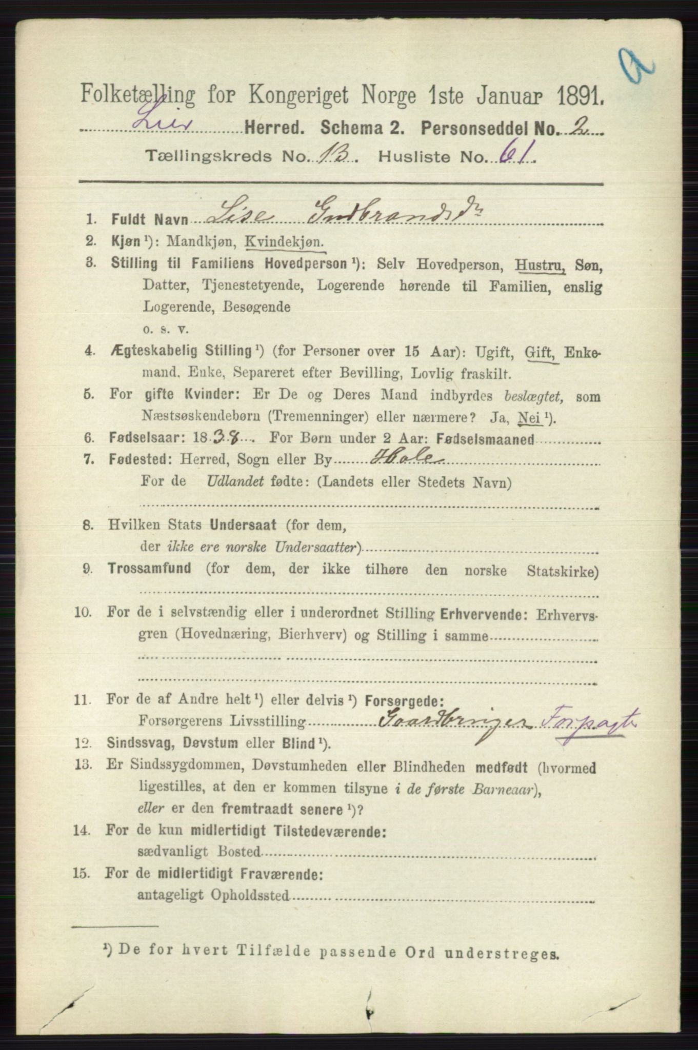 RA, 1891 census for 0626 Lier, 1891, p. 8203