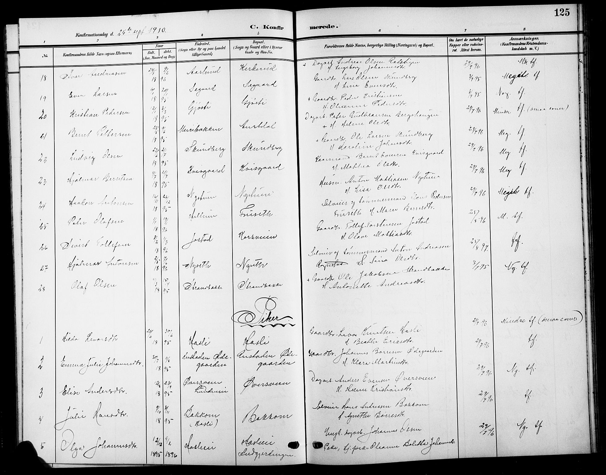 Biri prestekontor, AV/SAH-PREST-096/H/Ha/Hab/L0005: Parish register (copy) no. 5, 1906-1919, p. 125