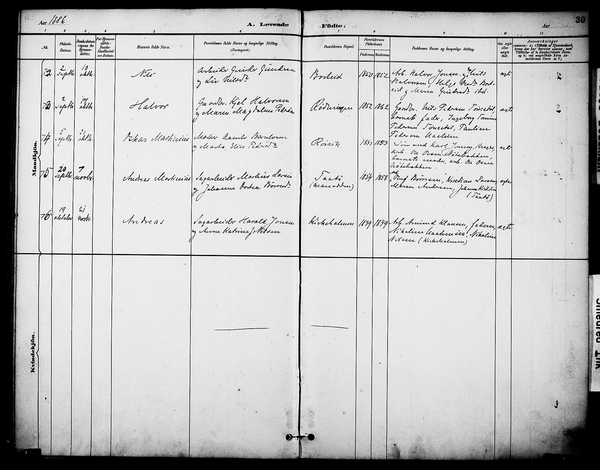 Skåtøy kirkebøker, AV/SAKO-A-304/F/Fa/L0002: Parish register (official) no. I 2, 1884-1899, p. 30