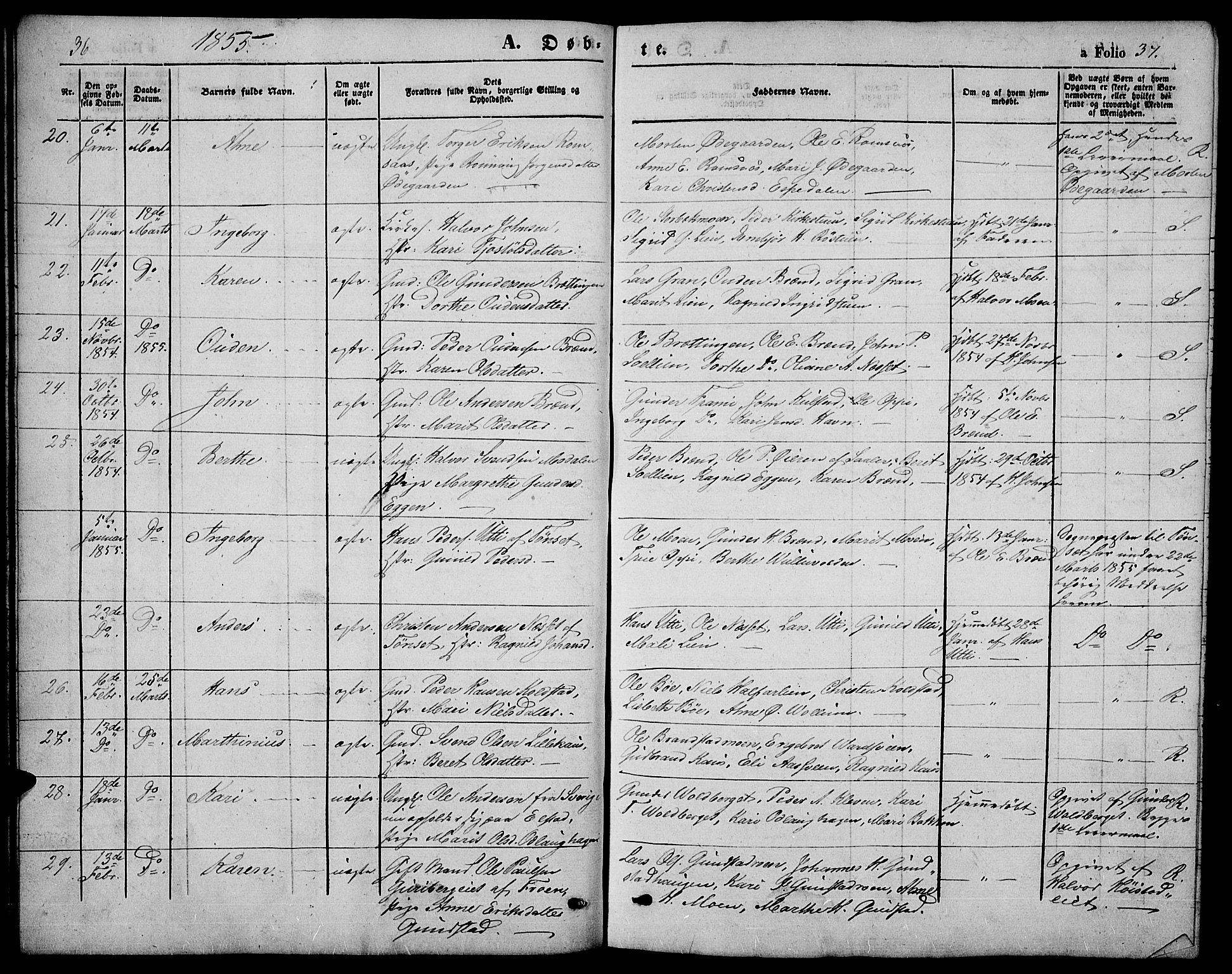 Ringebu prestekontor, AV/SAH-PREST-082/H/Ha/Hab/L0003: Parish register (copy) no. 3, 1854-1866, p. 36-37