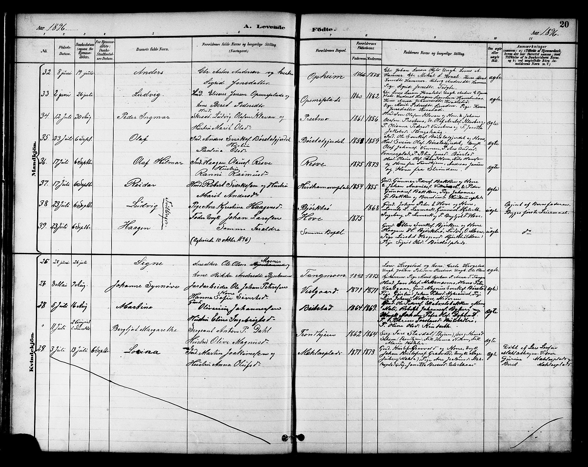 Ministerialprotokoller, klokkerbøker og fødselsregistre - Nord-Trøndelag, AV/SAT-A-1458/709/L0087: Parish register (copy) no. 709C01, 1892-1913, p. 20