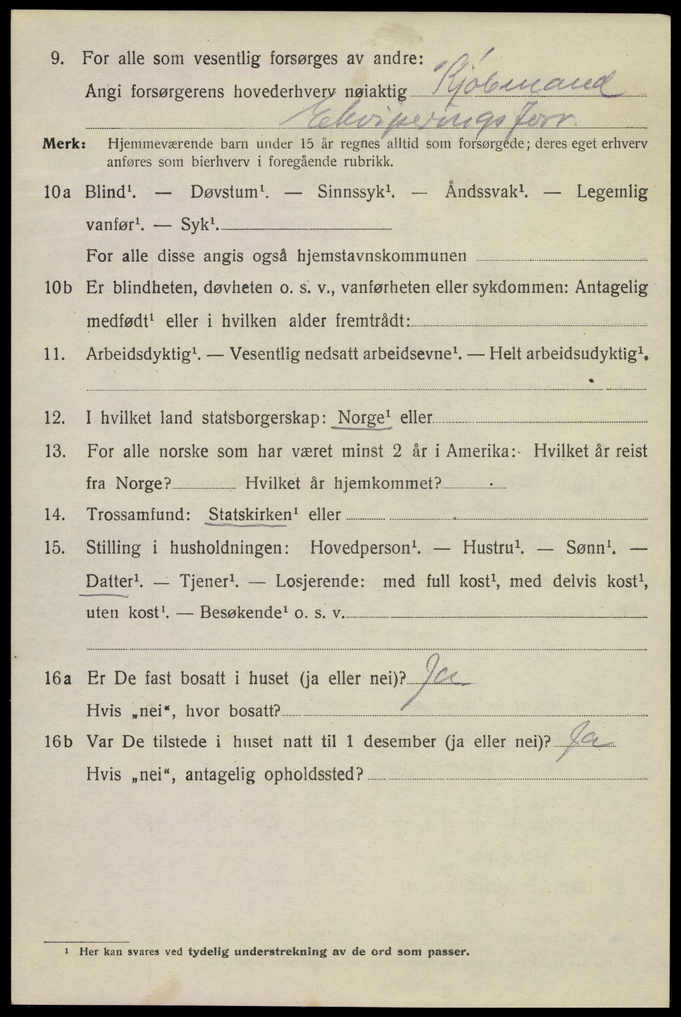 SAKO, 1920 census for Kragerø, 1920, p. 10018