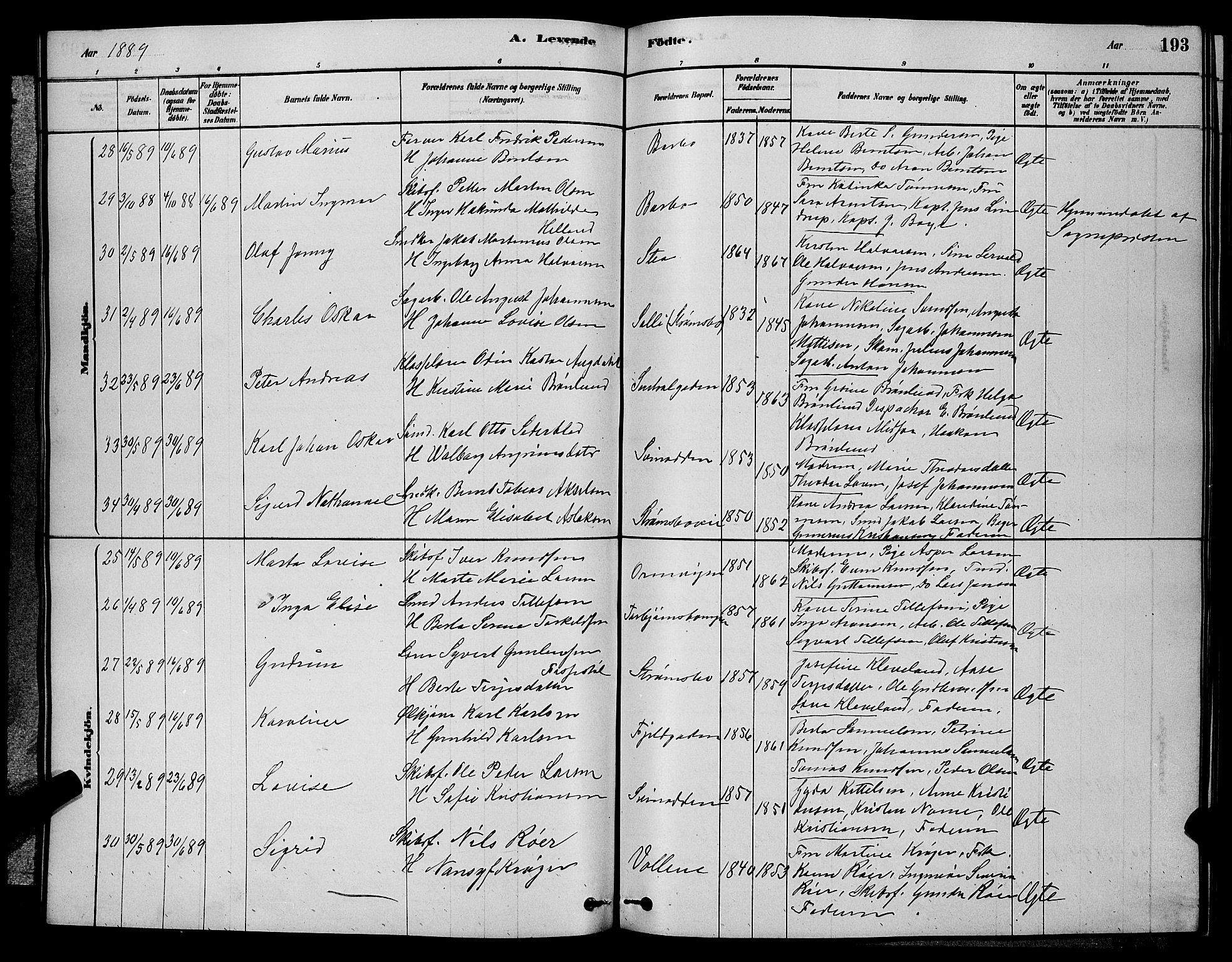 Barbu sokneprestkontor, AV/SAK-1111-0003/F/Fb/L0001: Parish register (copy) no. B 1, 1878-1890, p. 193