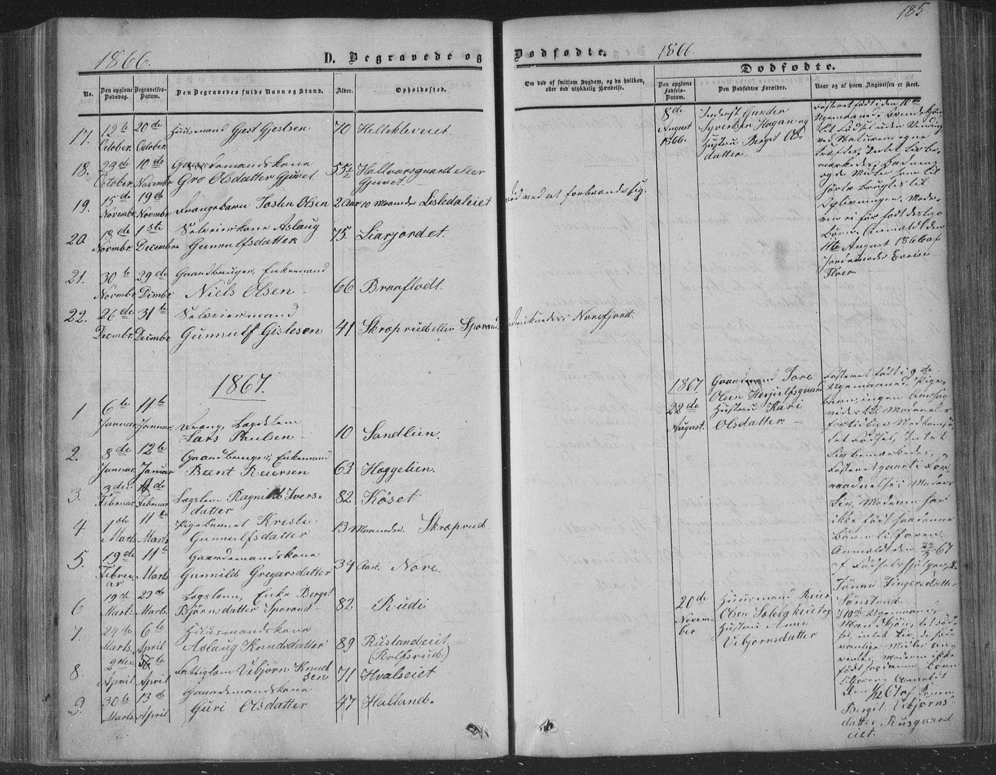 Nore kirkebøker, SAKO/A-238/F/Fa/L0002: Parish register (official) no. I 2, 1856-1871, p. 185