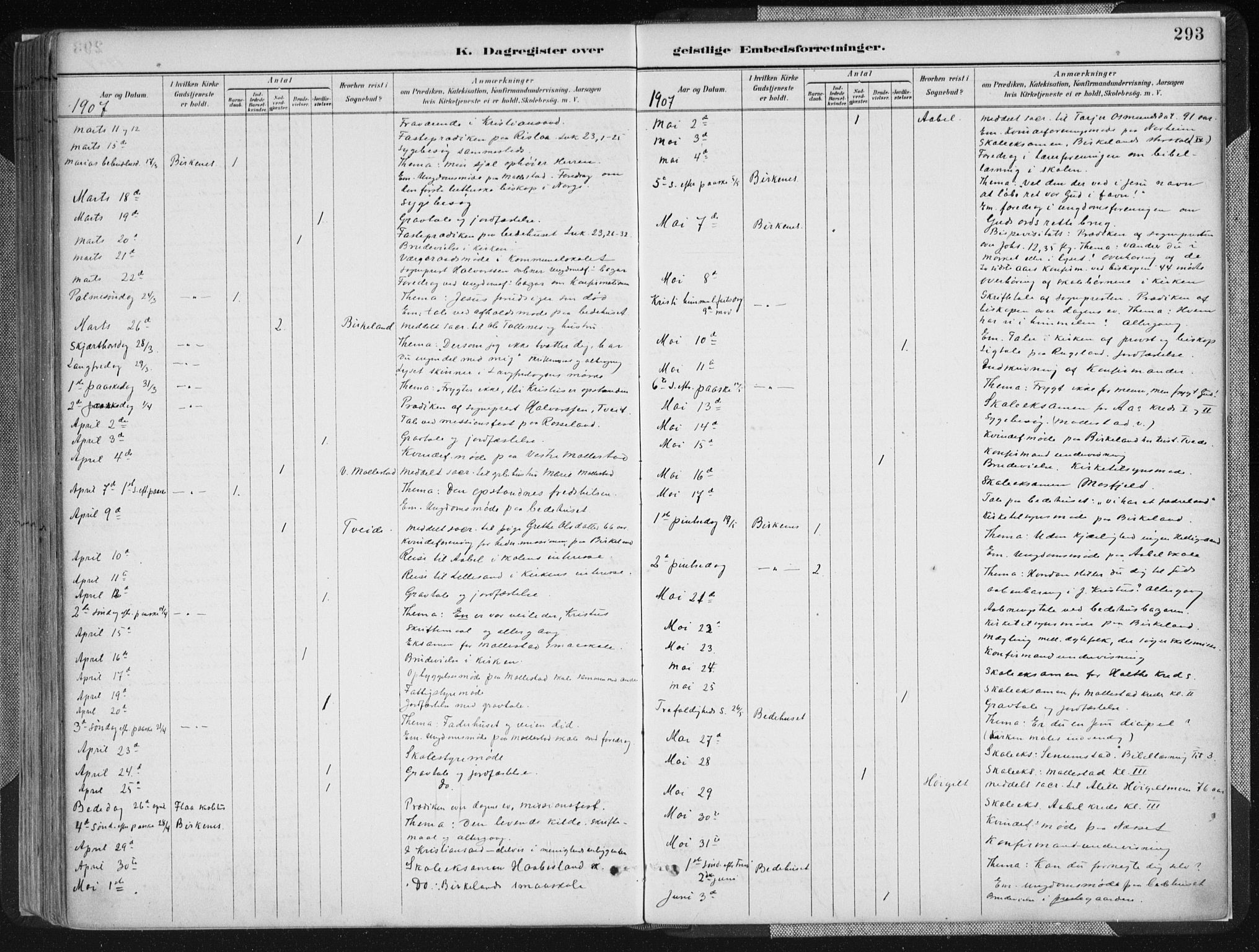 Birkenes sokneprestkontor, SAK/1111-0004/F/Fa/L0005: Parish register (official) no. A 5, 1887-1907, p. 293