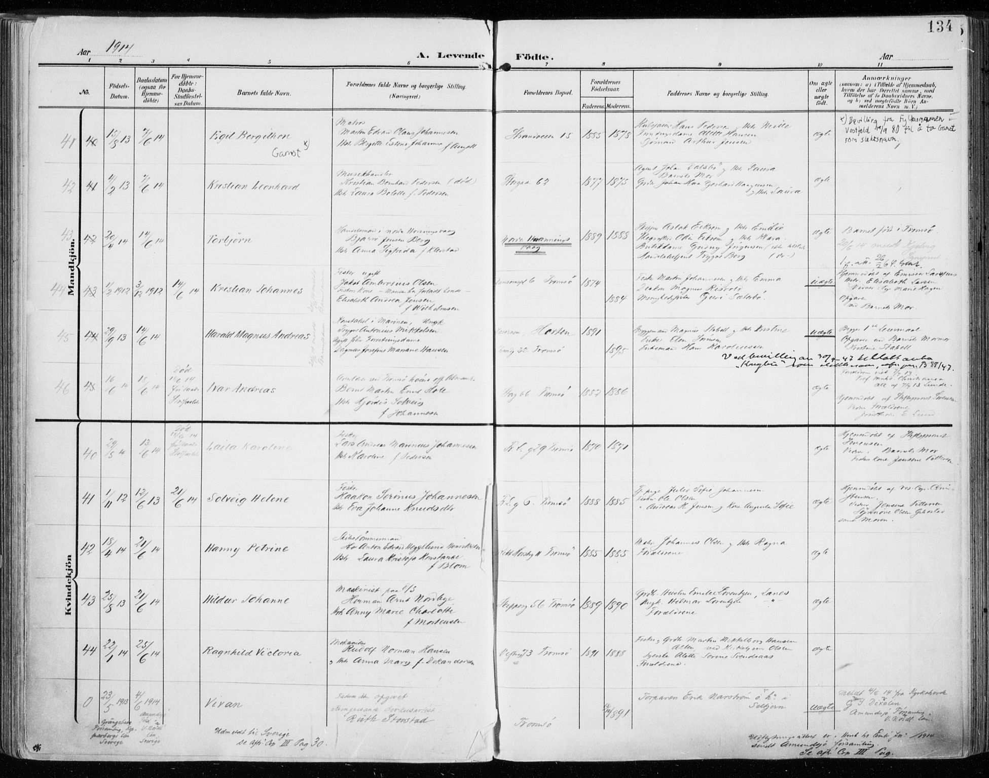 Tromsø sokneprestkontor/stiftsprosti/domprosti, SATØ/S-1343/G/Ga/L0017kirke: Parish register (official) no. 17, 1907-1917, p. 134