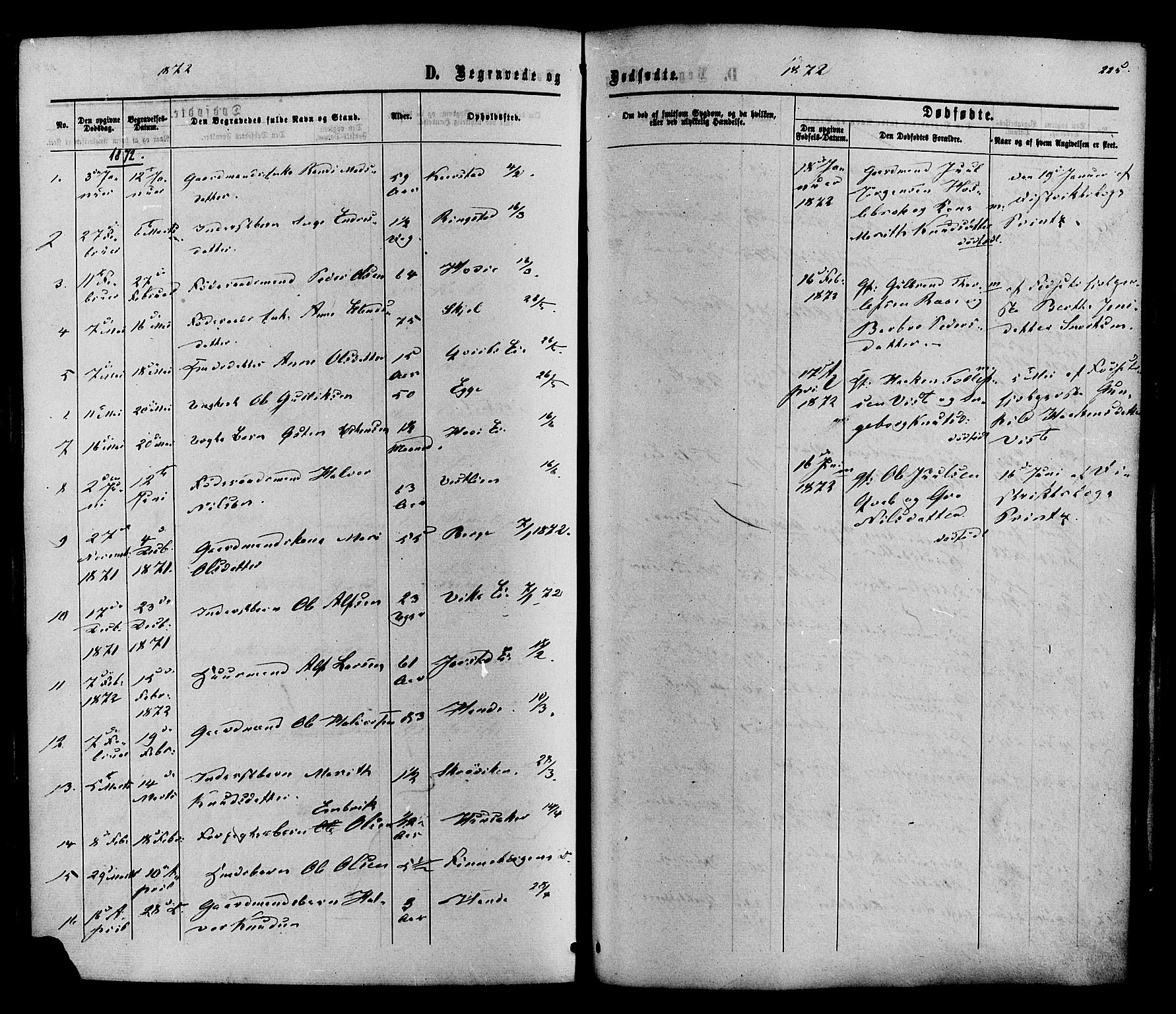 Vestre Slidre prestekontor, SAH/PREST-136/H/Ha/Haa/L0003: Parish register (official) no. 3, 1865-1880, p. 225