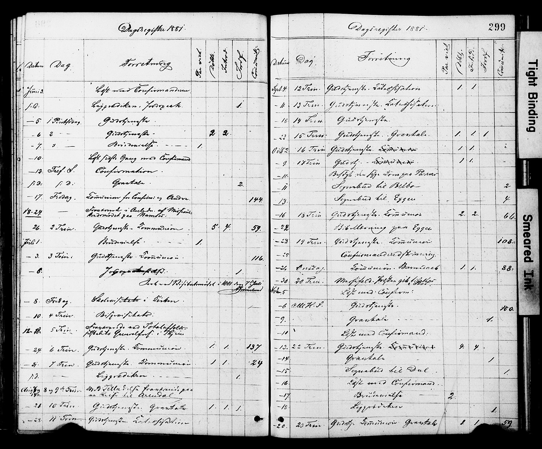 Ministerialprotokoller, klokkerbøker og fødselsregistre - Nord-Trøndelag, AV/SAT-A-1458/749/L0473: Parish register (official) no. 749A07, 1873-1887, p. 299