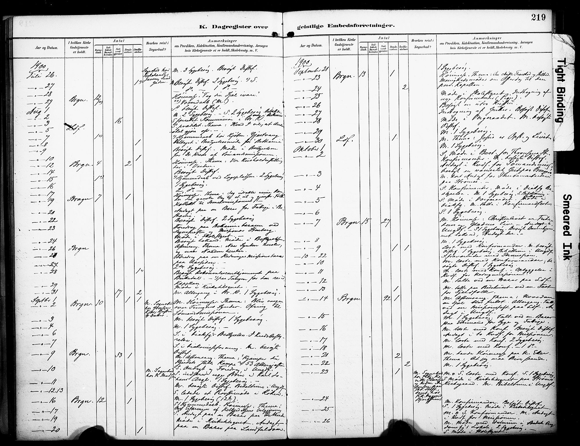 Bragernes kirkebøker, AV/SAKO-A-6/F/Fc/L0006: Parish register (official) no. III 6, 1888-1899, p. 219