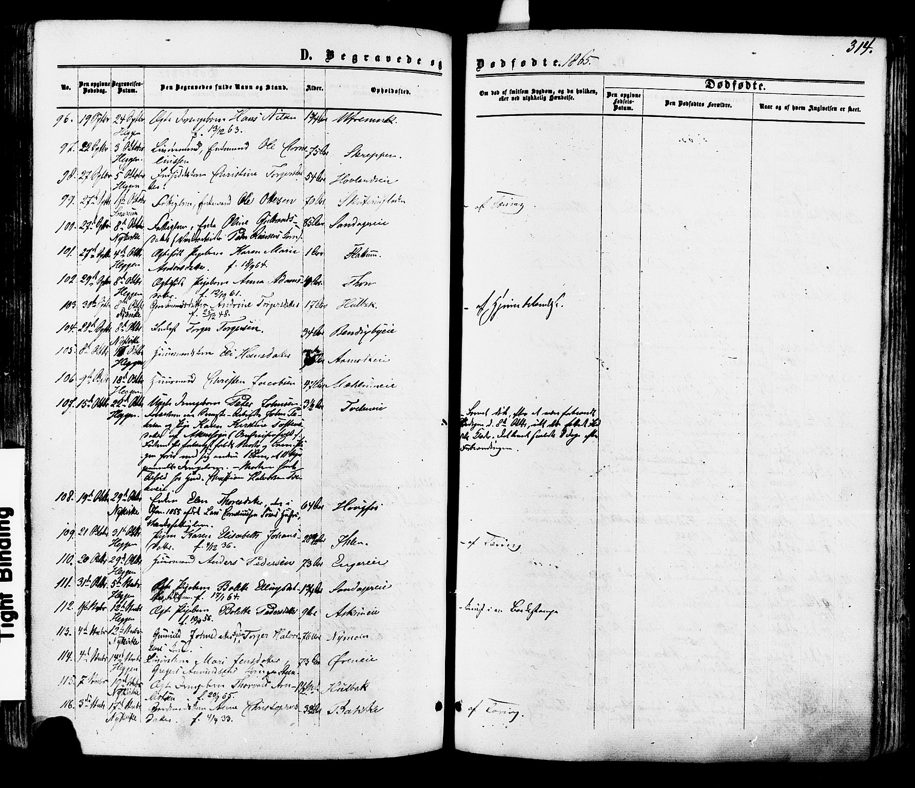 Modum kirkebøker, AV/SAKO-A-234/F/Fa/L0010: Parish register (official) no. 10, 1865-1876, p. 314