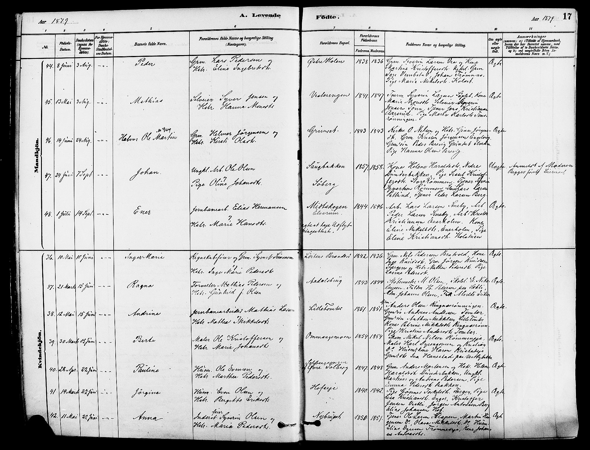 Løten prestekontor, AV/SAH-PREST-022/K/Ka/L0009: Parish register (official) no. 9, 1878-1891, p. 17