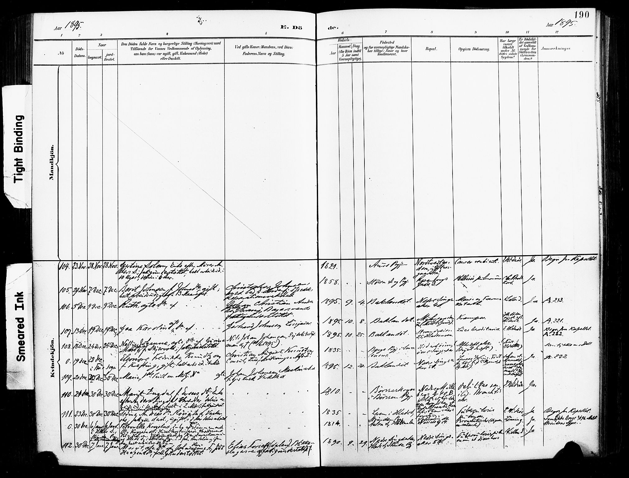 Ministerialprotokoller, klokkerbøker og fødselsregistre - Sør-Trøndelag, AV/SAT-A-1456/604/L0198: Parish register (official) no. 604A19, 1893-1900, p. 190