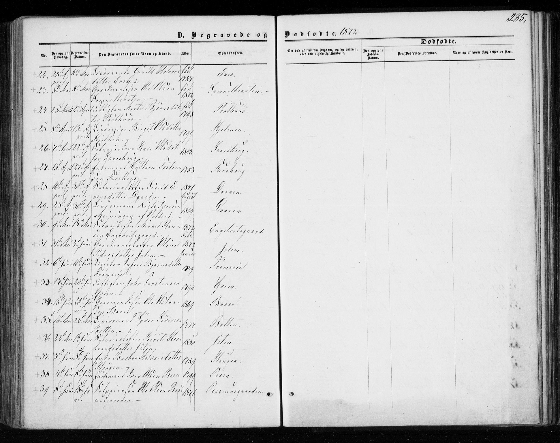 Gol kirkebøker, SAKO/A-226/F/Fa/L0003: Parish register (official) no. I 3, 1863-1875, p. 285