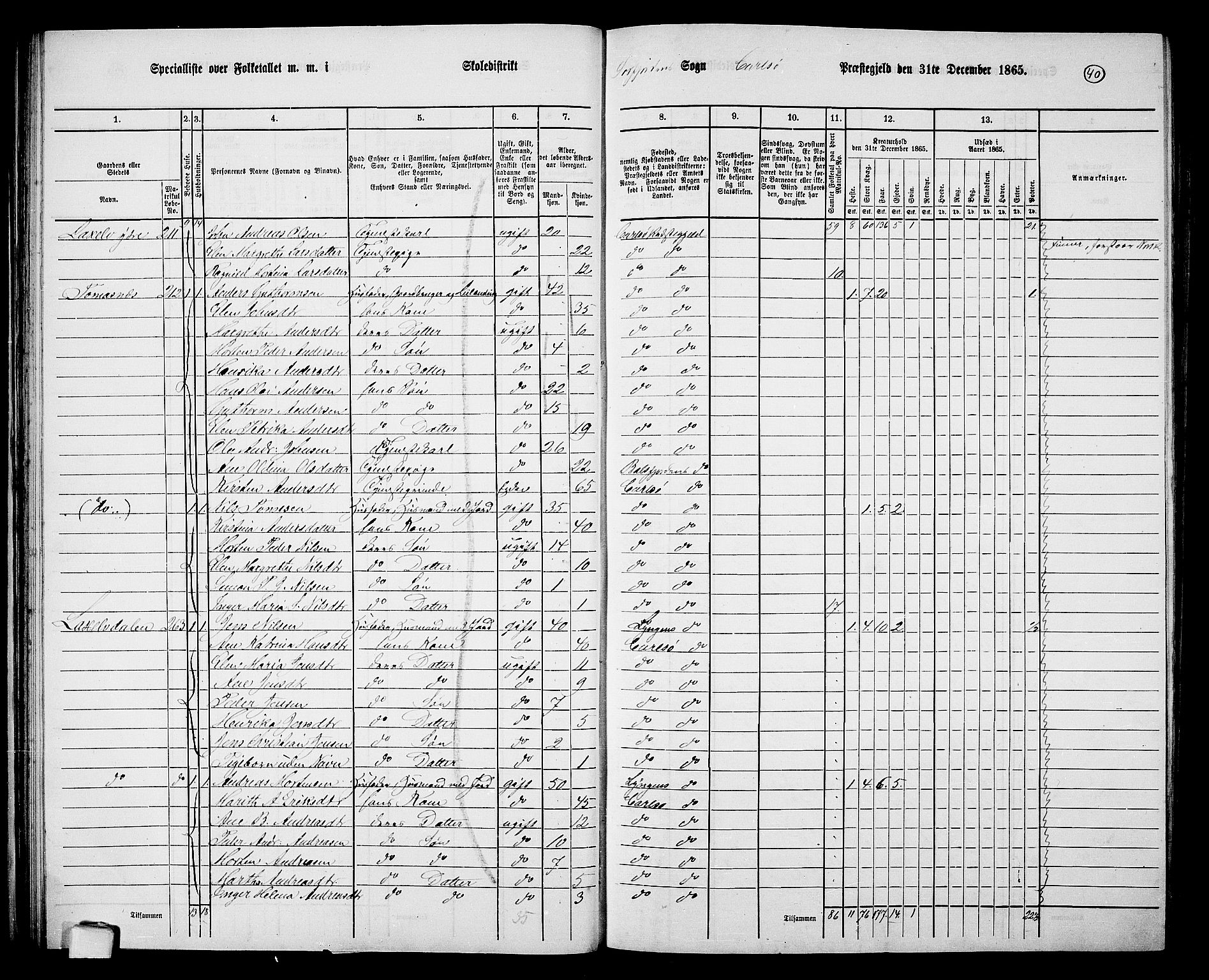 RA, 1865 census for Karlsøy, 1865, p. 40